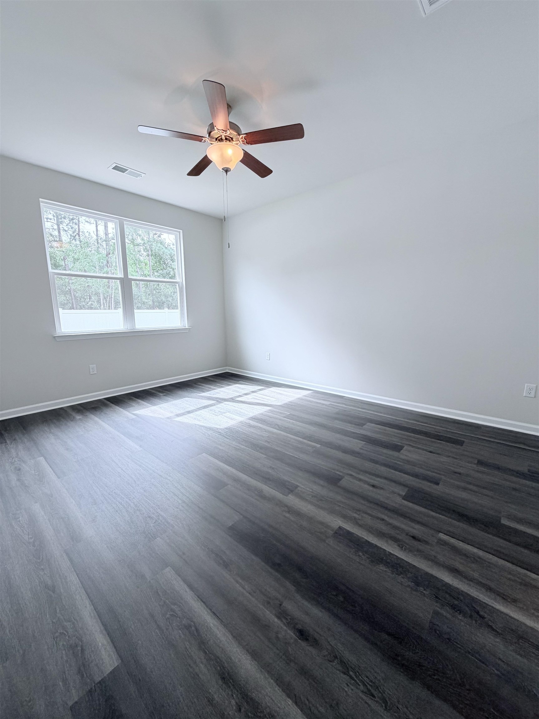 278 Ridley St Property Photo 17