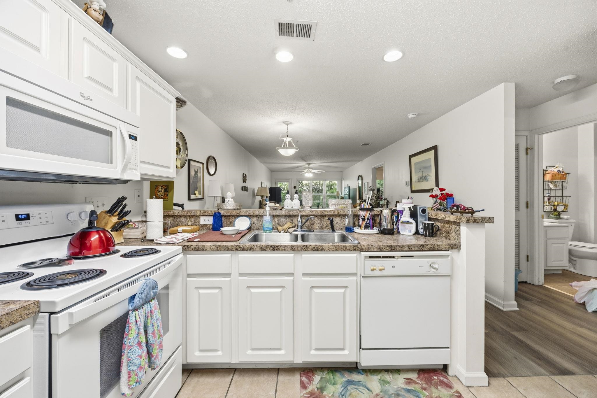 217 Egret Run Ln. Property Photo 13