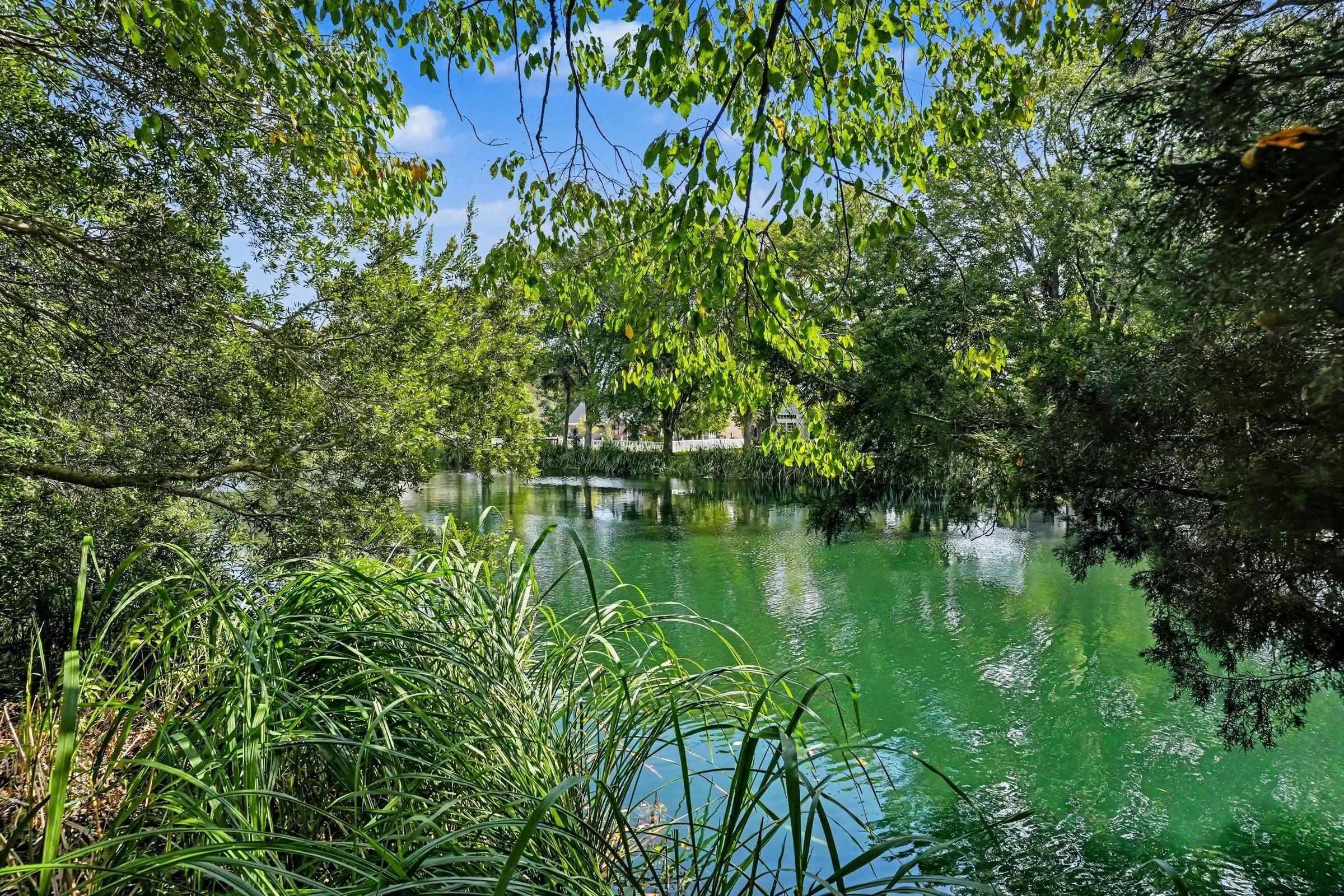 16 Wild Flower Trail Property Photo 31