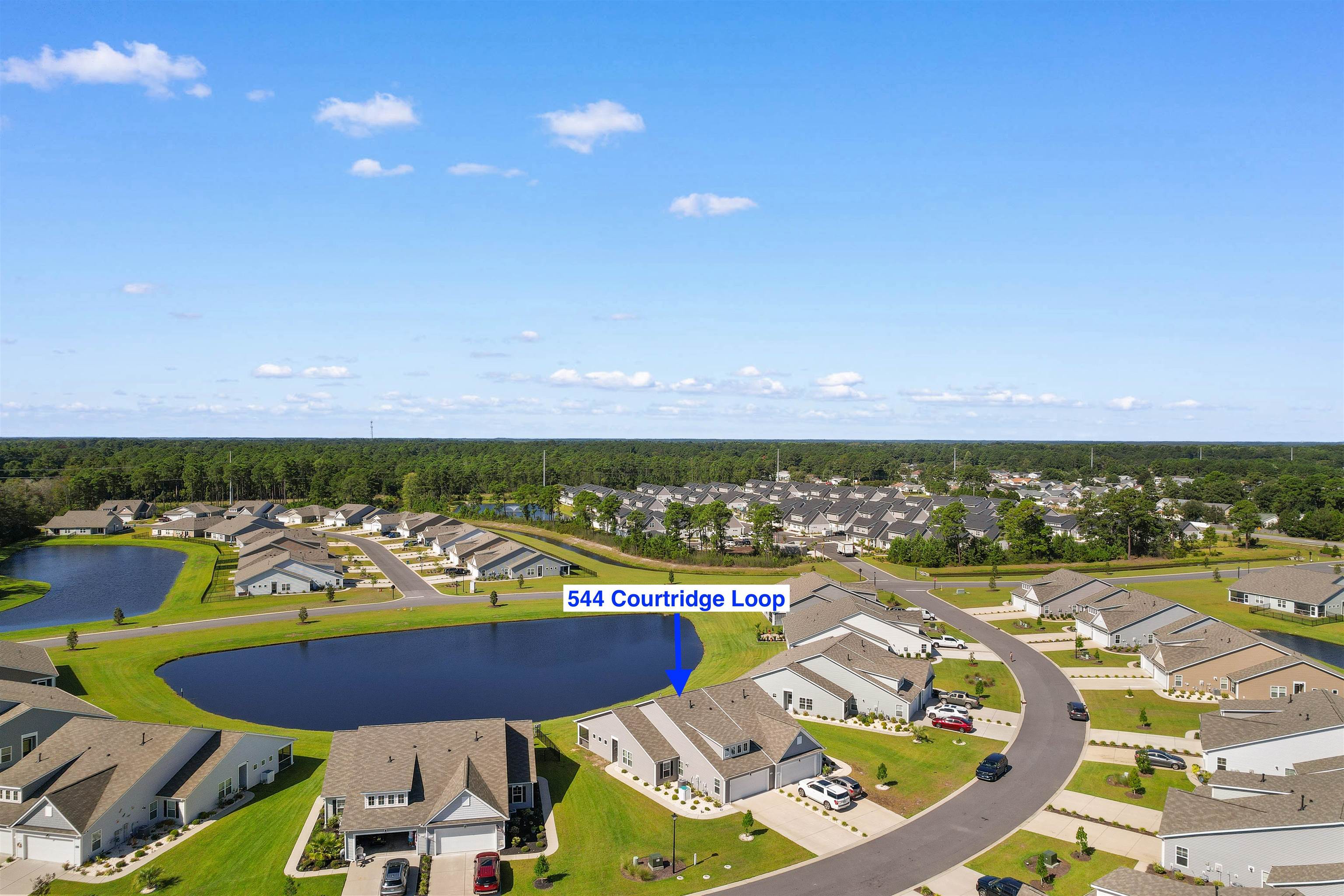 544 Courtridge Loop Property Photo 40