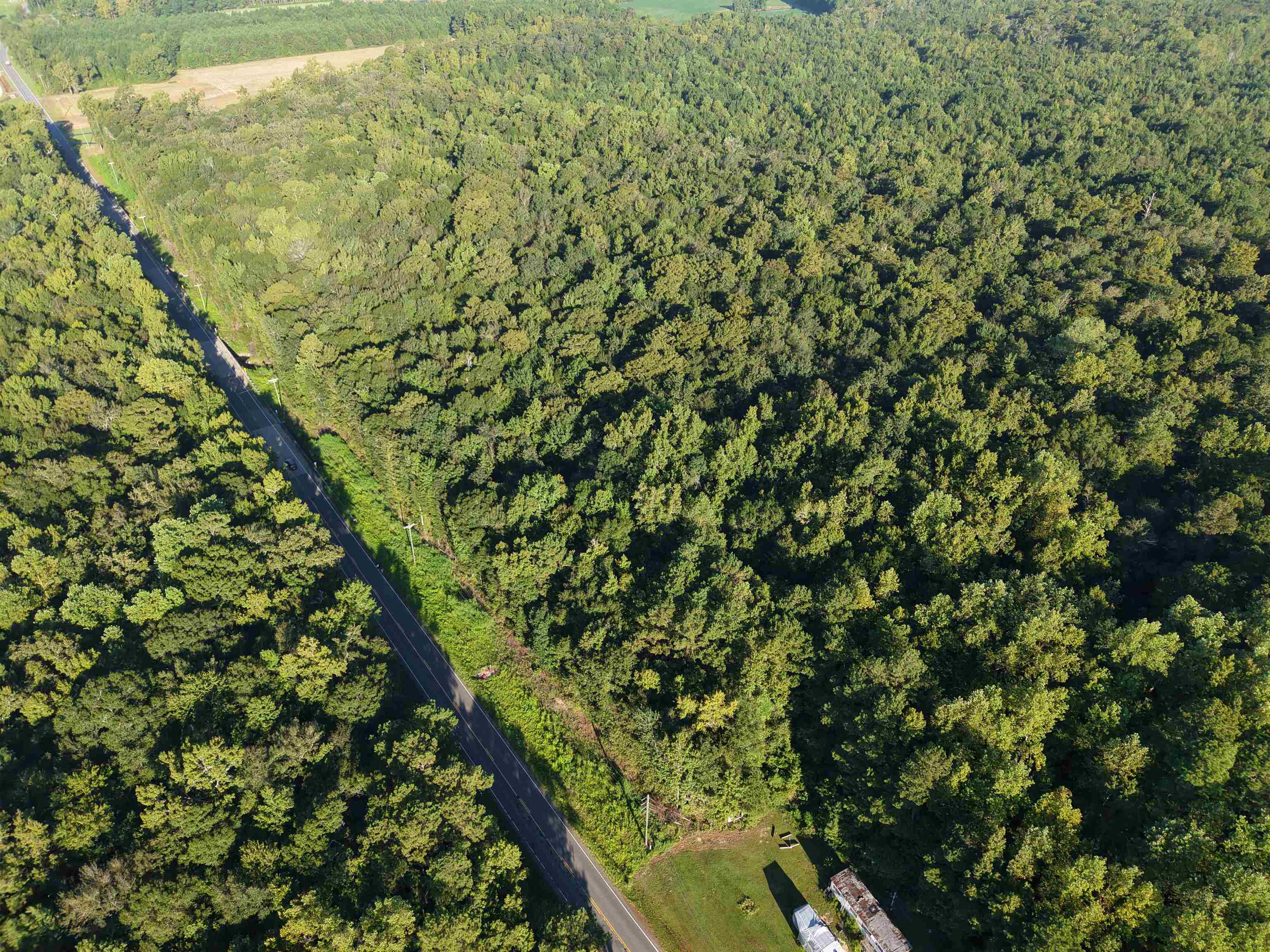 Tbd Adrian Hwy. Property Photo 3