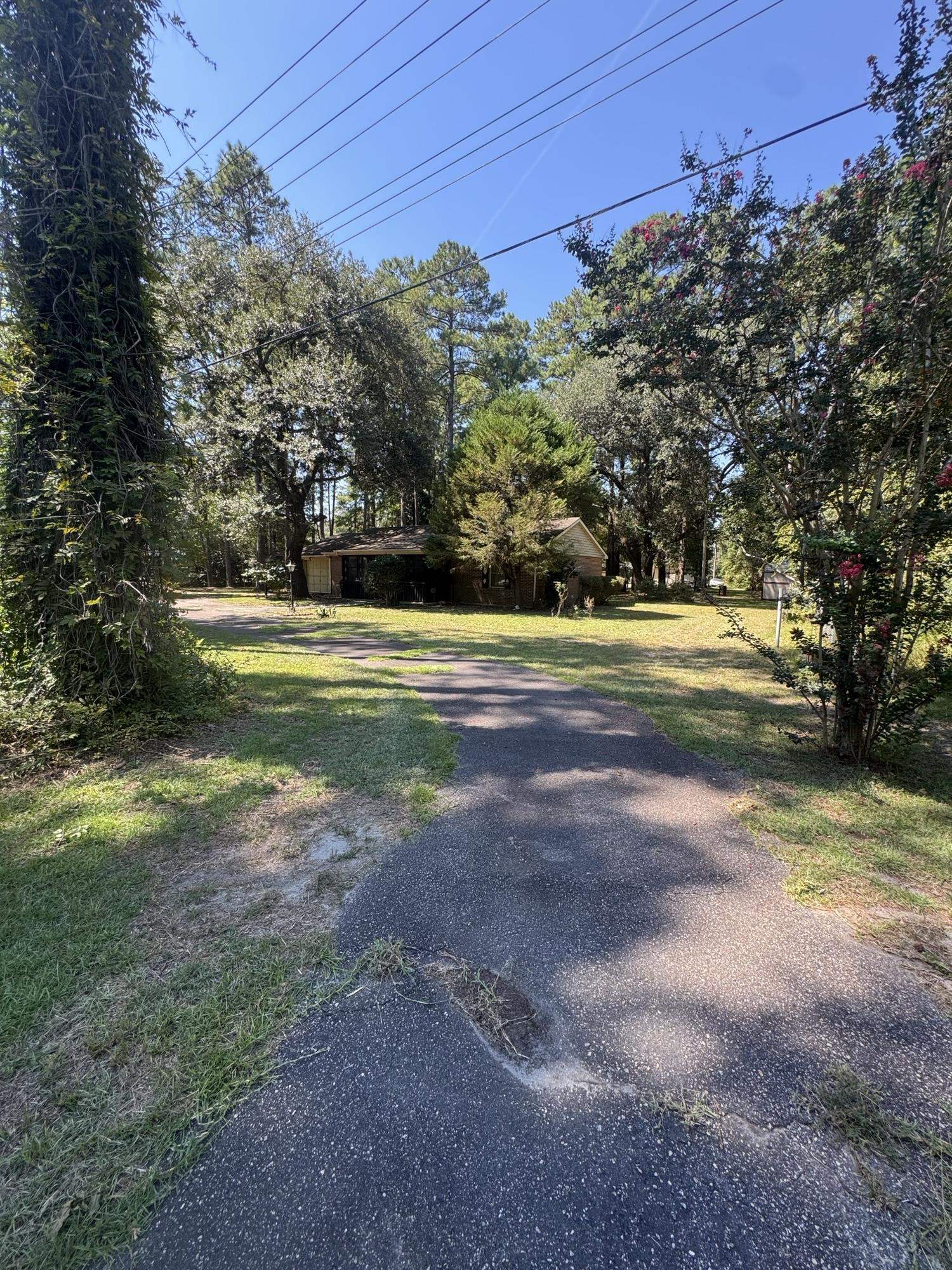 2486 Highway 544 Property Photo 2
