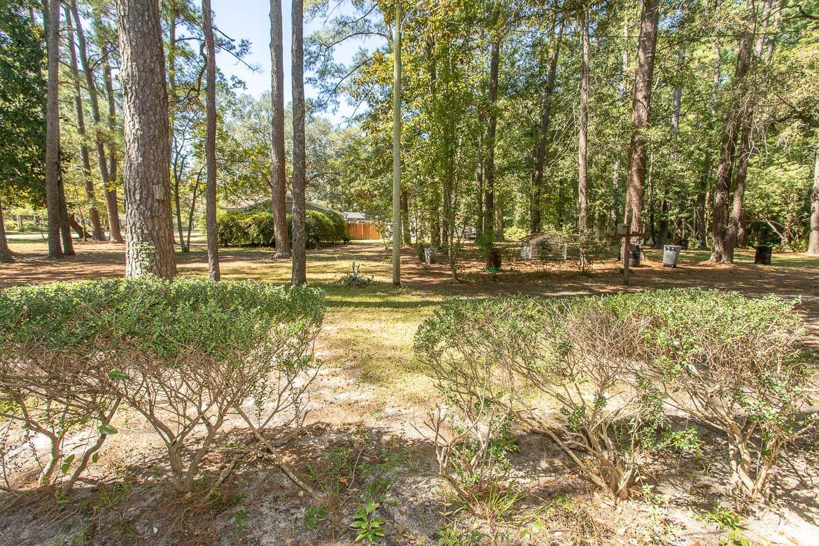 2486 Highway 544 Property Photo 4