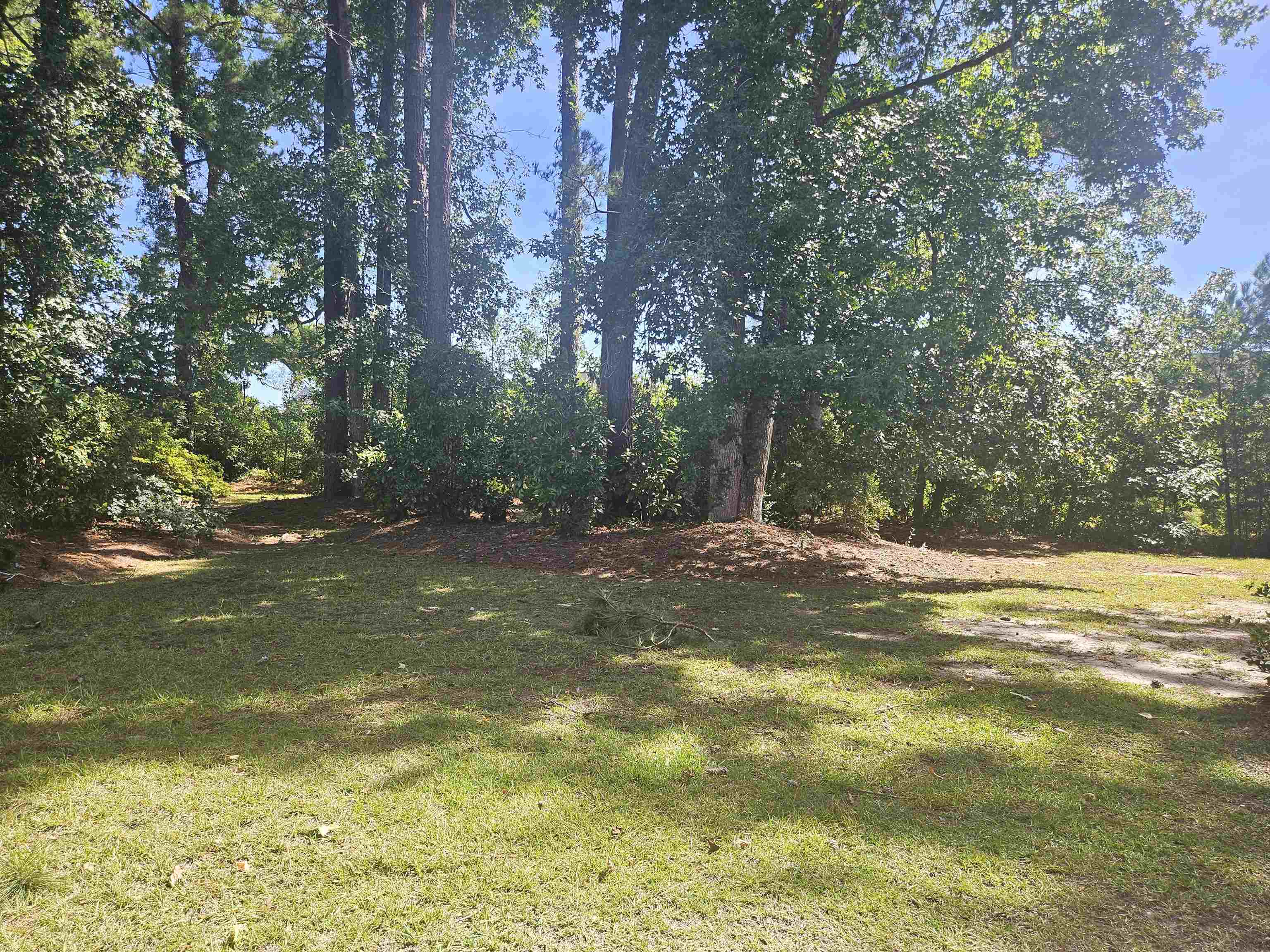 800 Egret Circle Property Photo 51