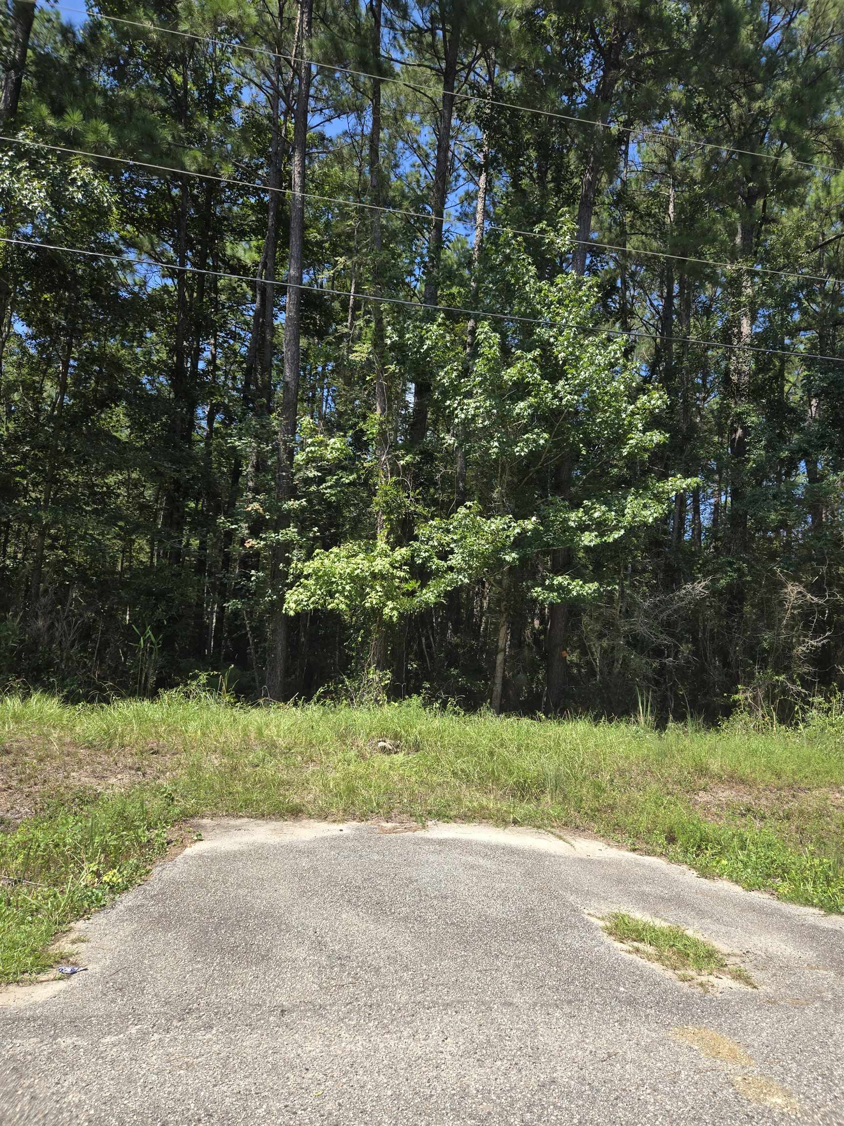 Lot 1 Herbert Ln. Property Photo 5
