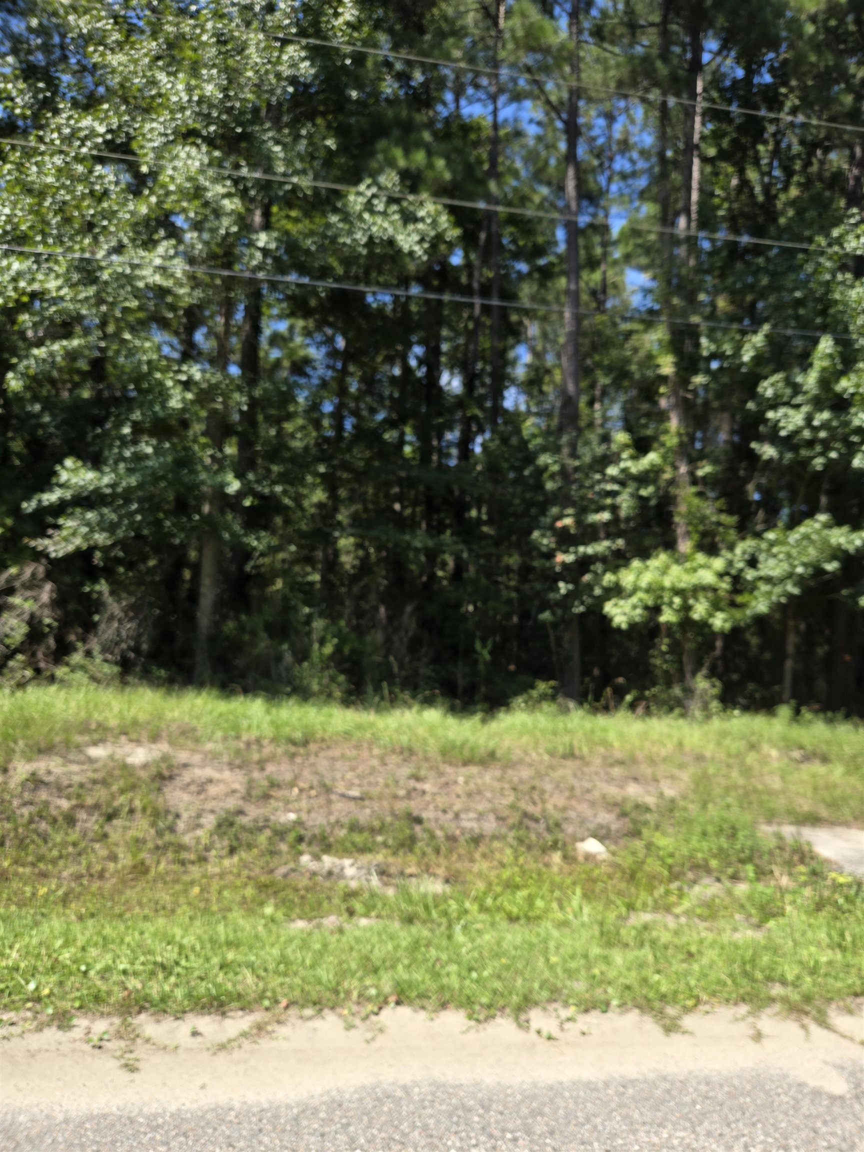 Lot 2 Herbert Ln. Property Photo 4