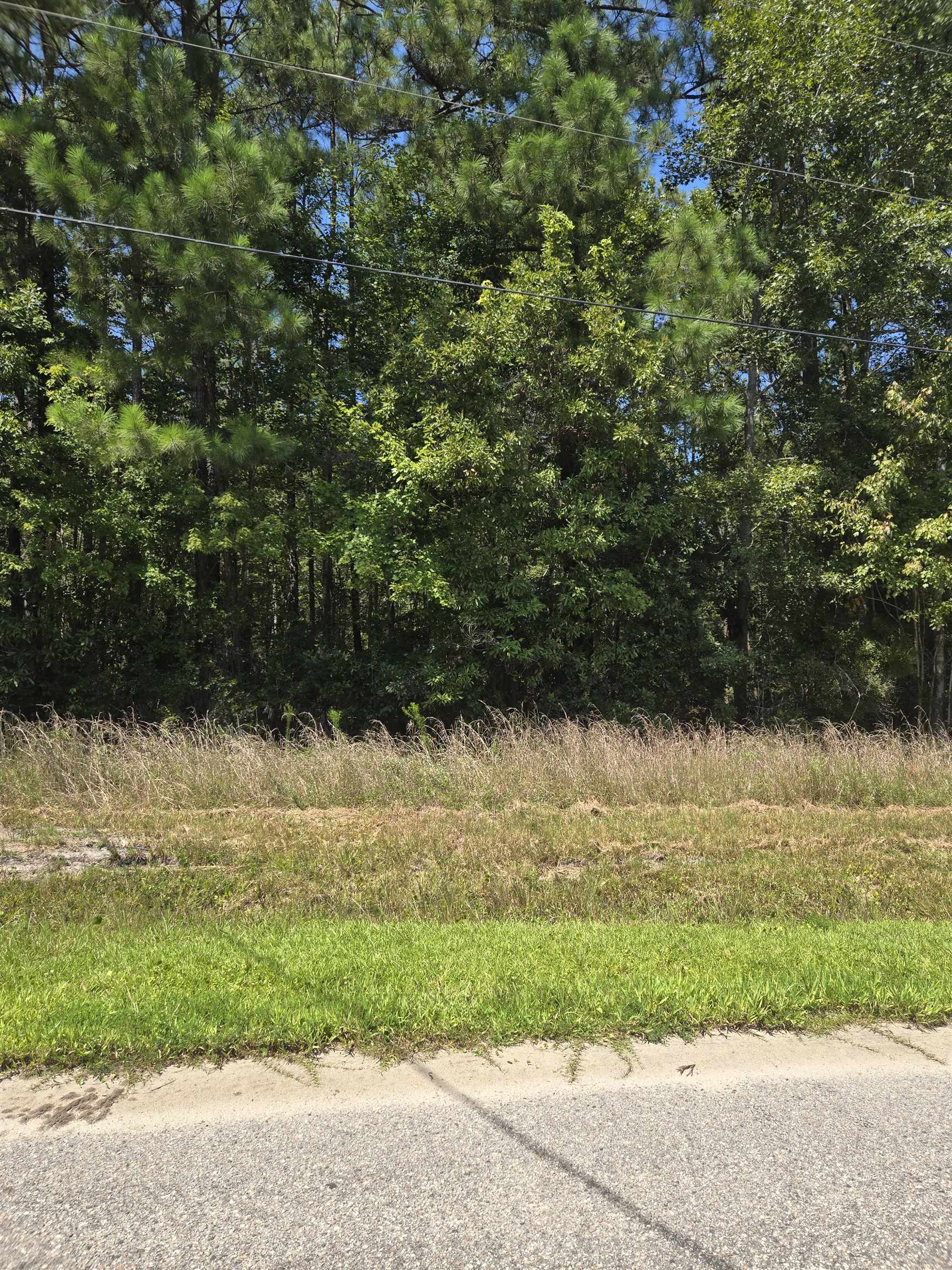 Lot 2 Herbert Ln. Property Photo 6