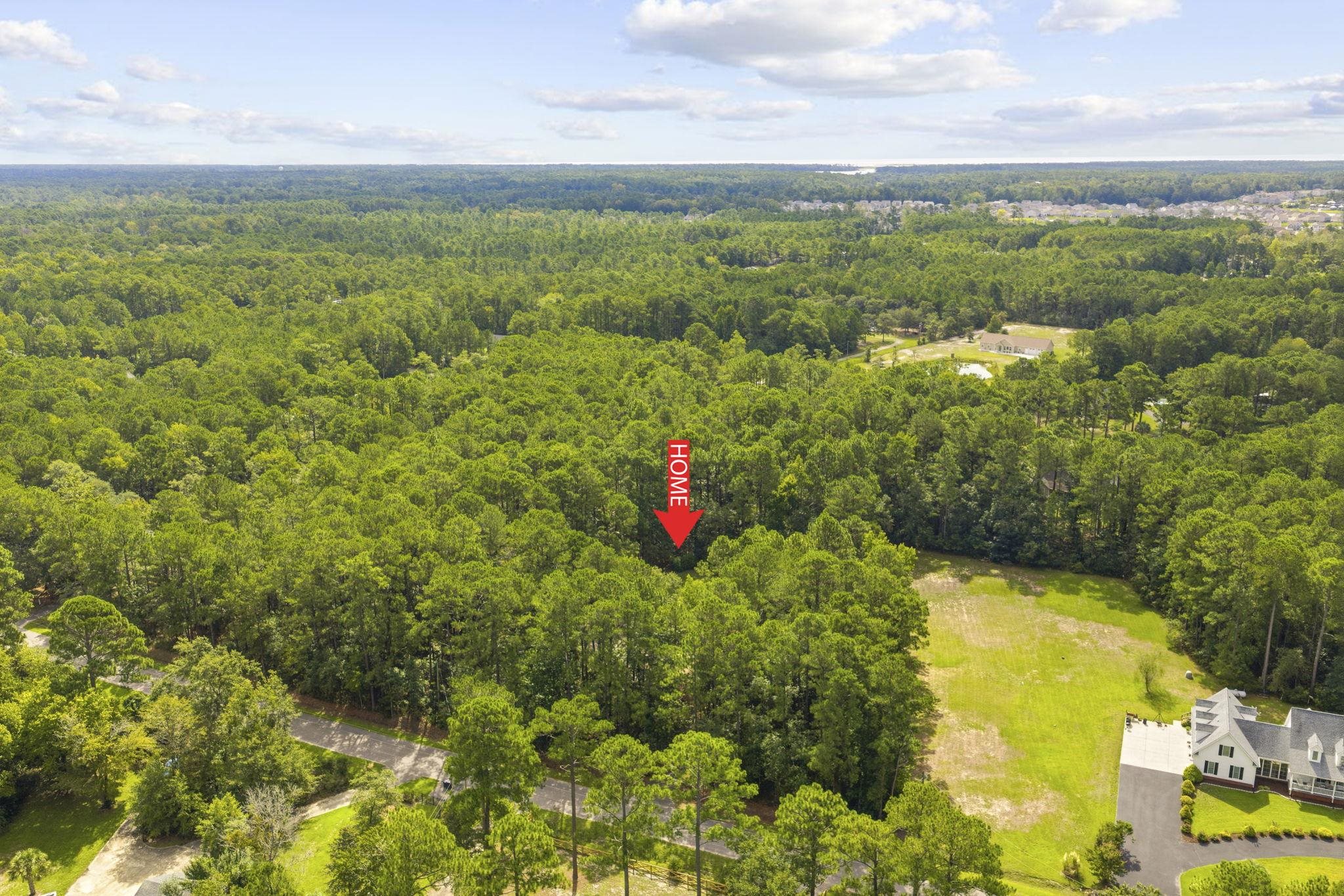3811 Loblolly Ave. Property Photo 42