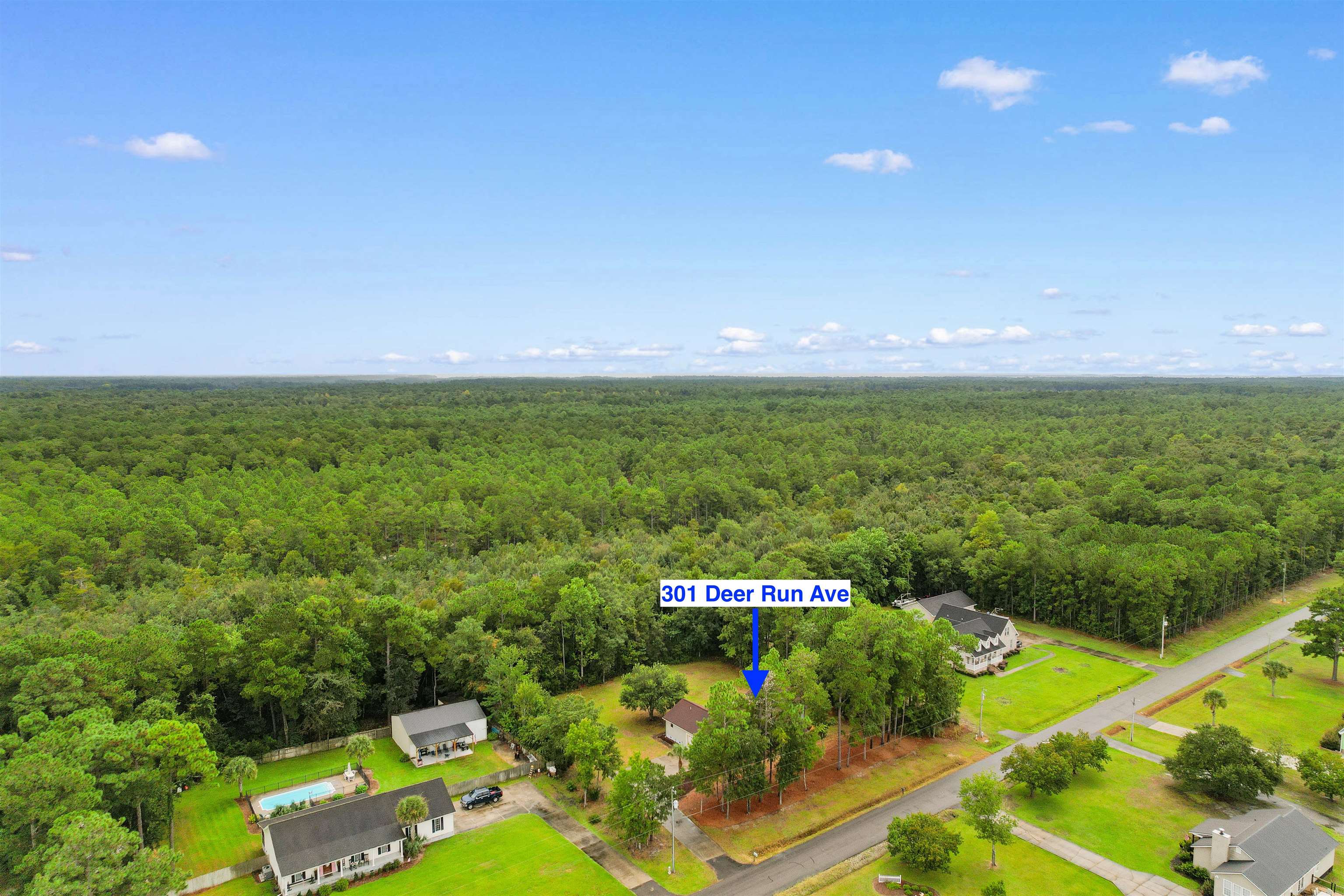 301 Deer Run Ave. Property Photo 39