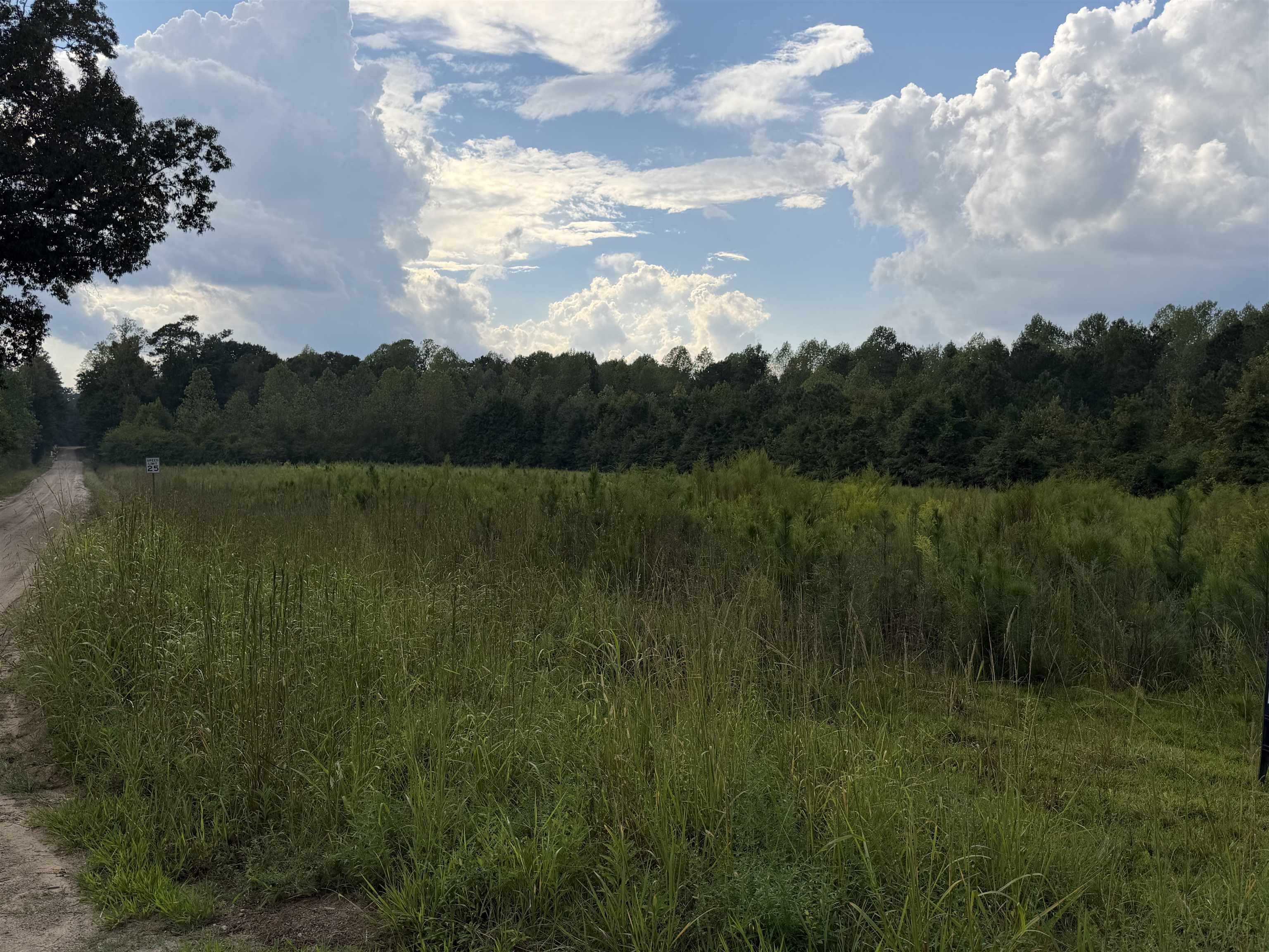 Tbd Womack Rd. Property Photo 3