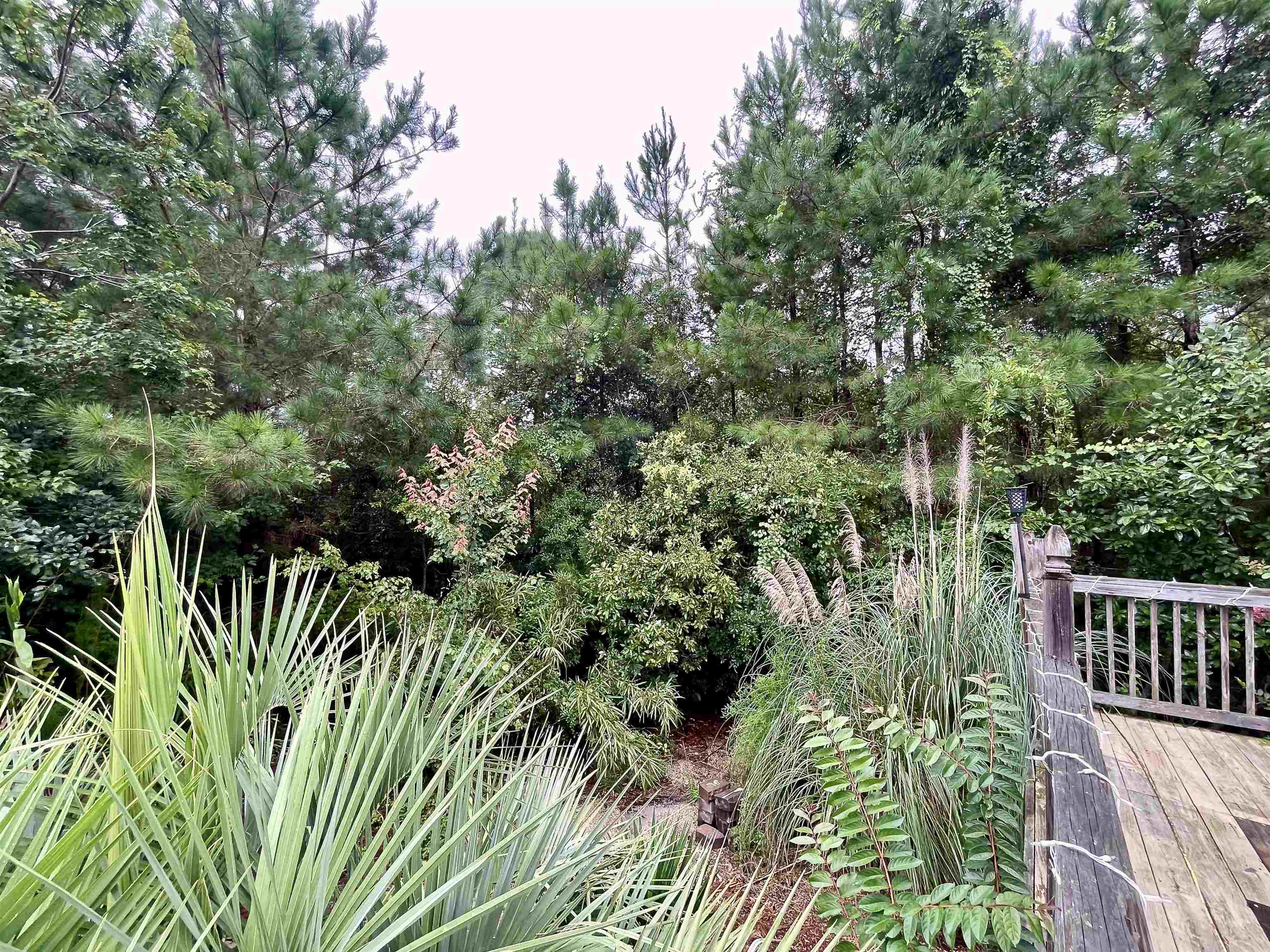 520 Laurinburg Rd Property Photo 53