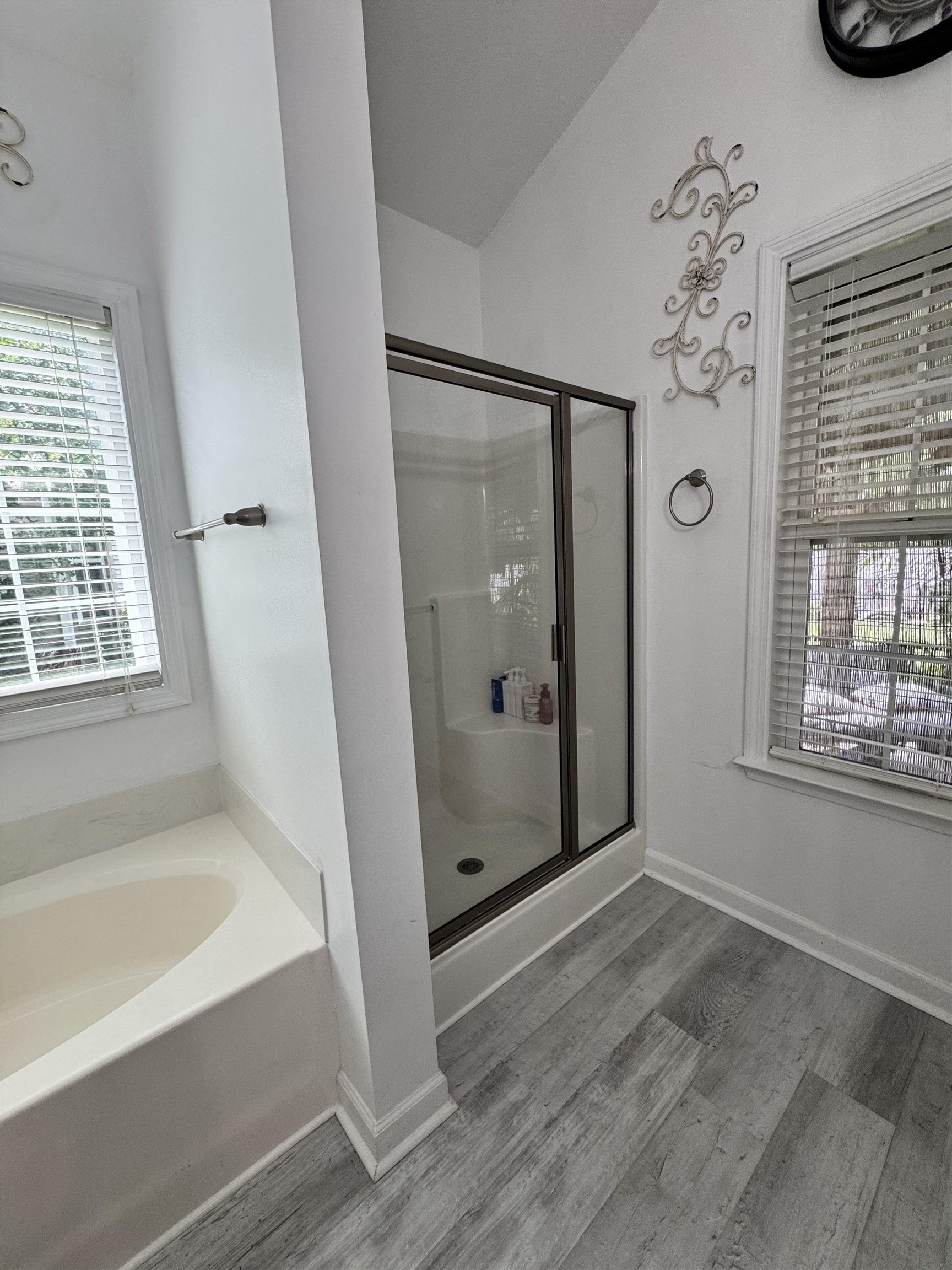 117 Blue Stem Dr. Property Photo 12