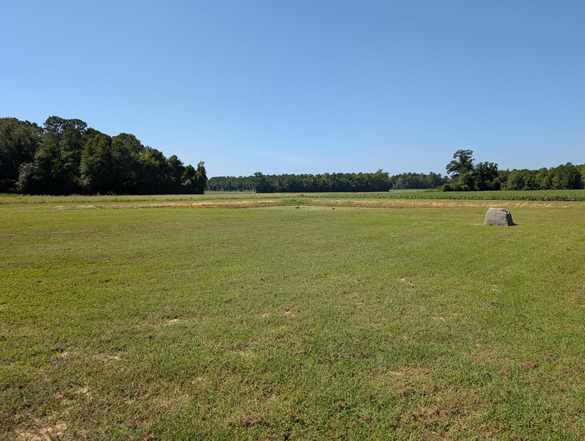 1174 Justice Loop Property Photo 28