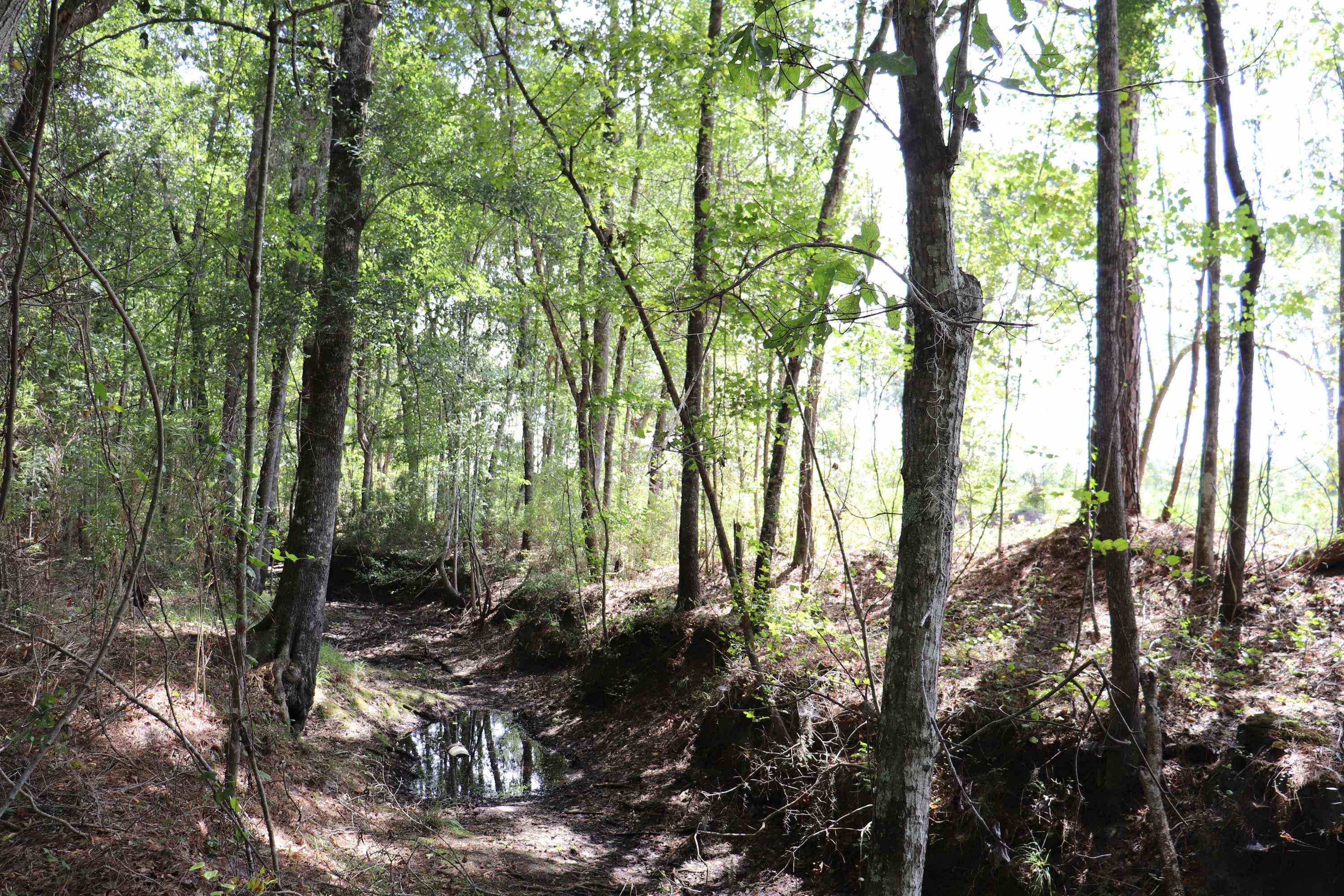 0 Old Forreston Rd. Property Photo 15