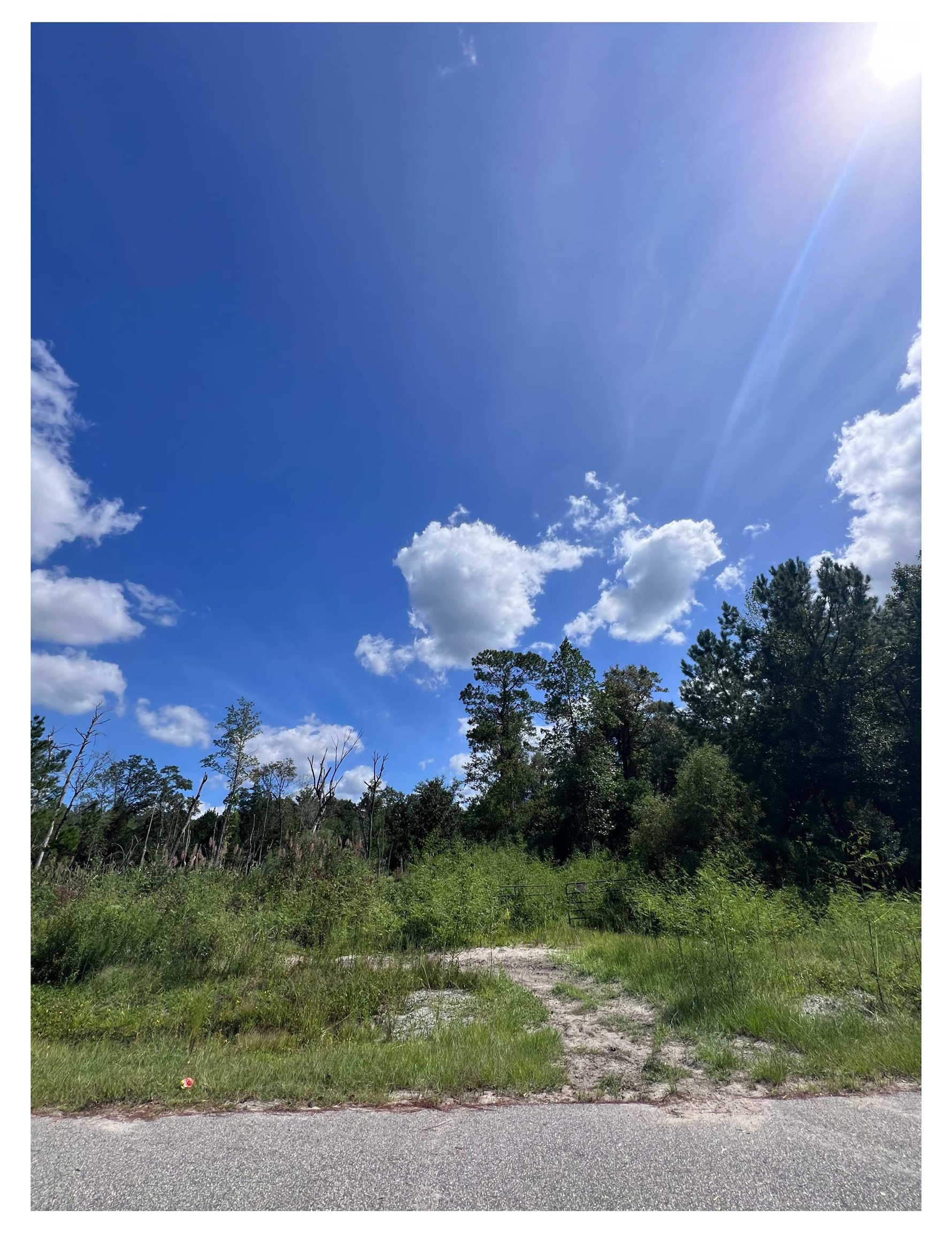 1223 Rainbow Dr. Property Photo 1