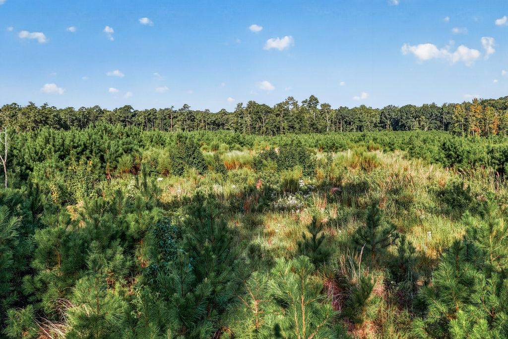 Tbd Albatross Rd Property Photo 1