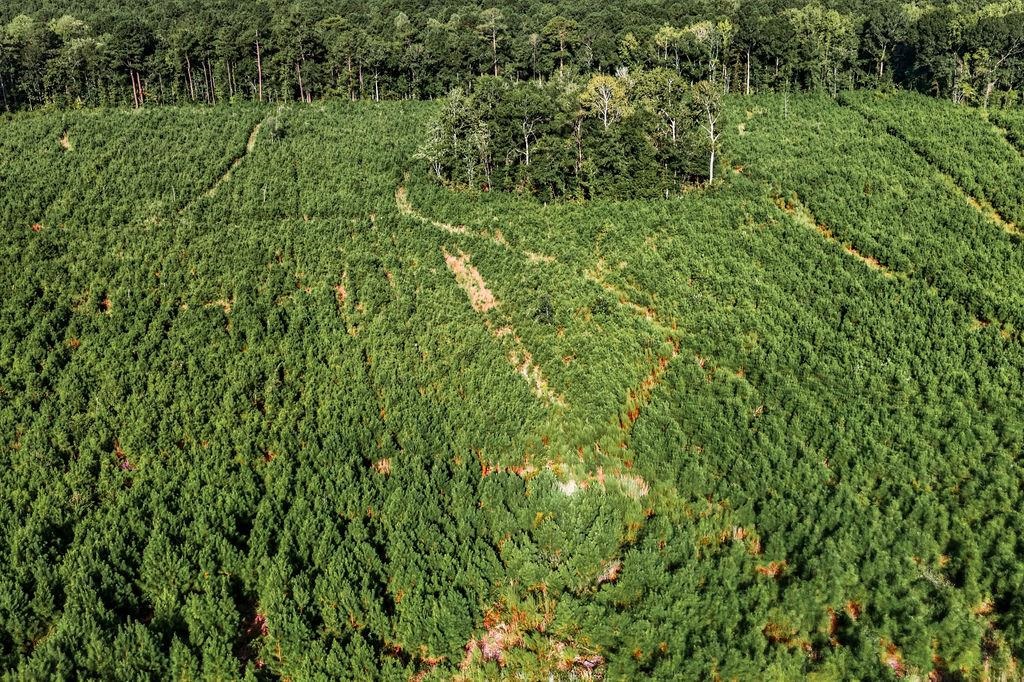 Tbd Albatross Rd Property Photo 2