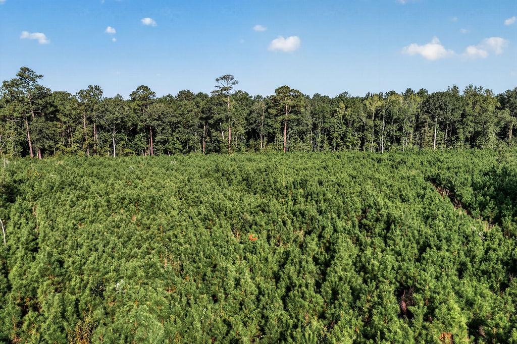 Tbd Albatross Rd Property Photo 7