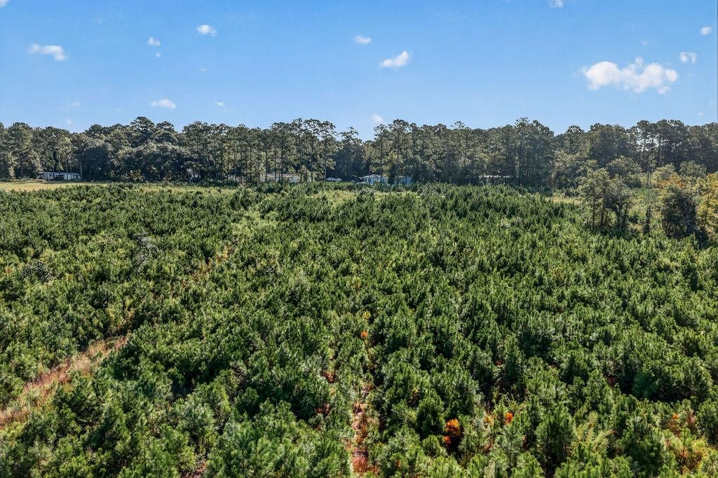 Tbd Albatross Rd Property Photo 8