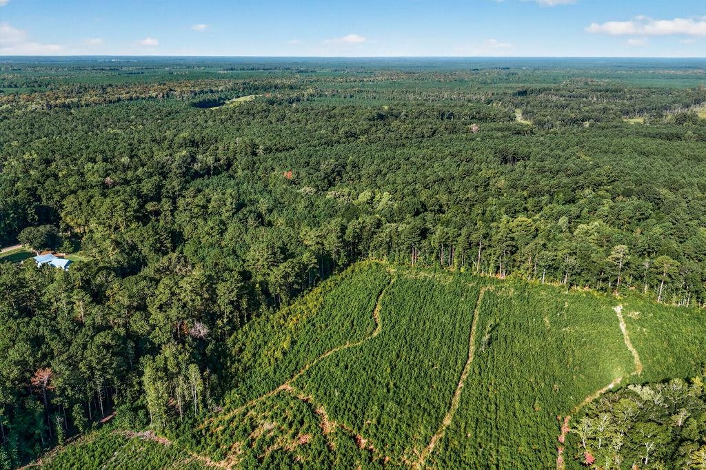 Tbd Albatross Rd Property Photo 12