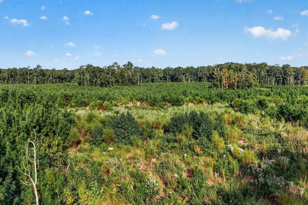 Tbd Albatross Rd Property Photo 13
