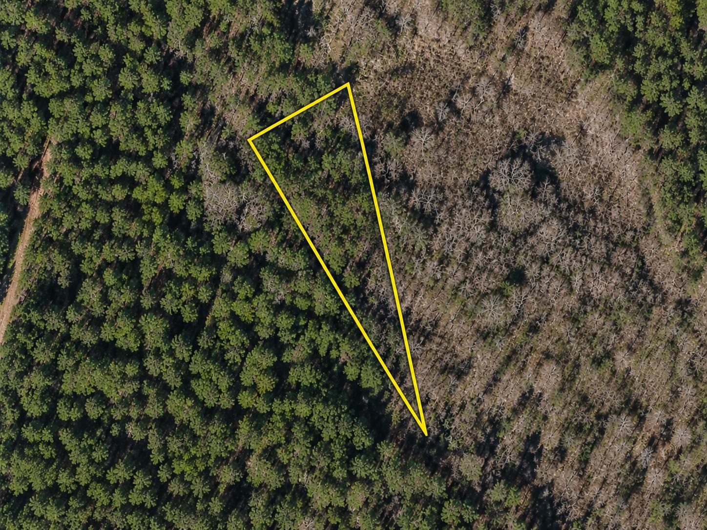 Tbd Gibson Rd. Property Photo 1