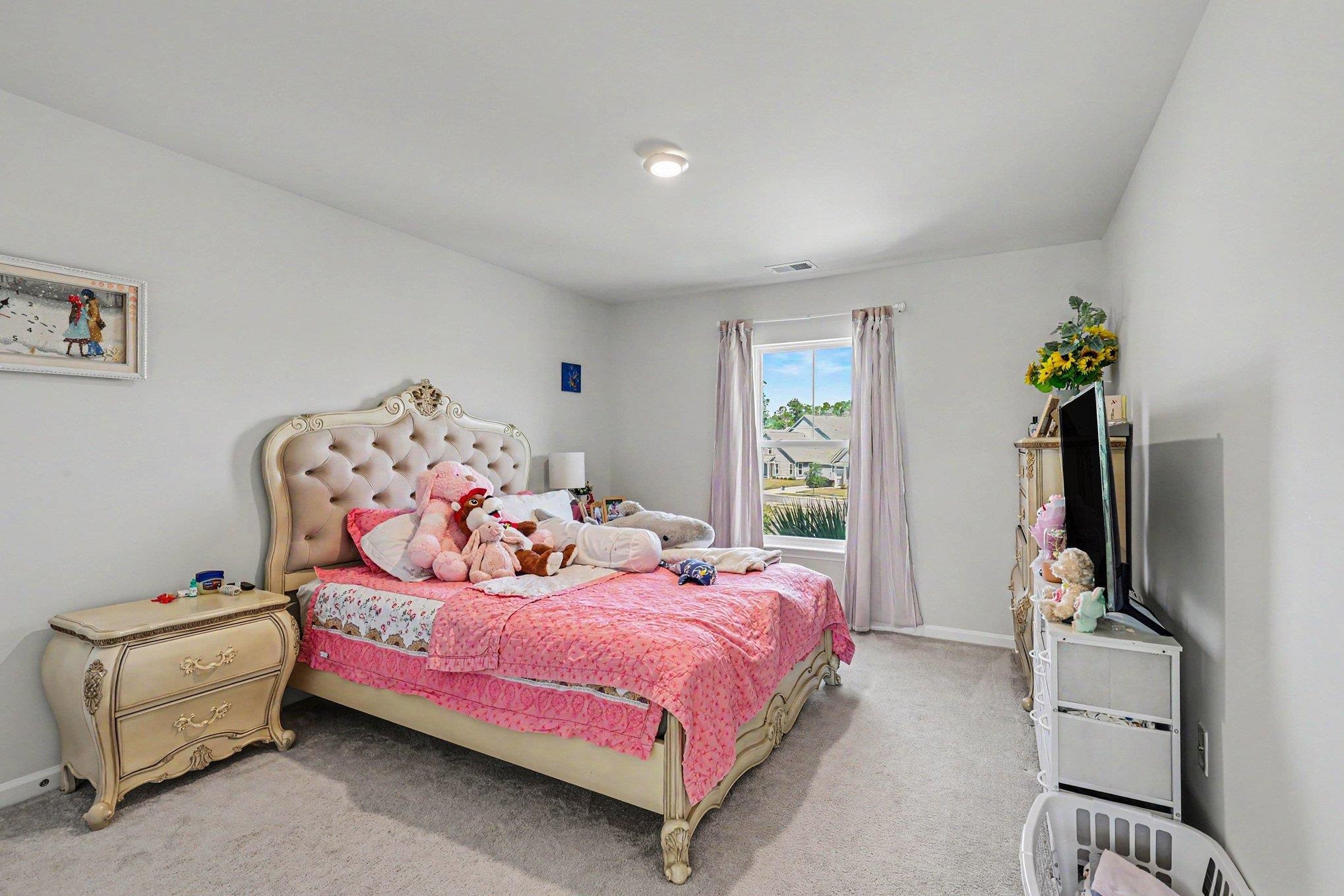 2439 Blue Crane Circle Property Photo 27