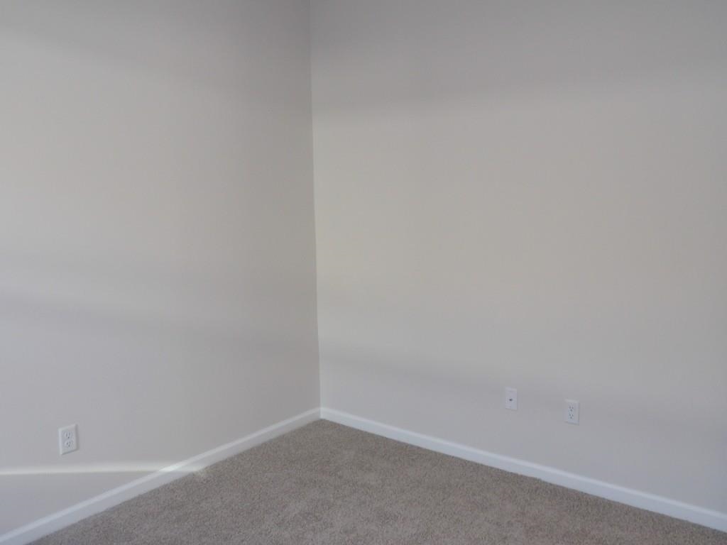 327 Ridley St Property Photo 21