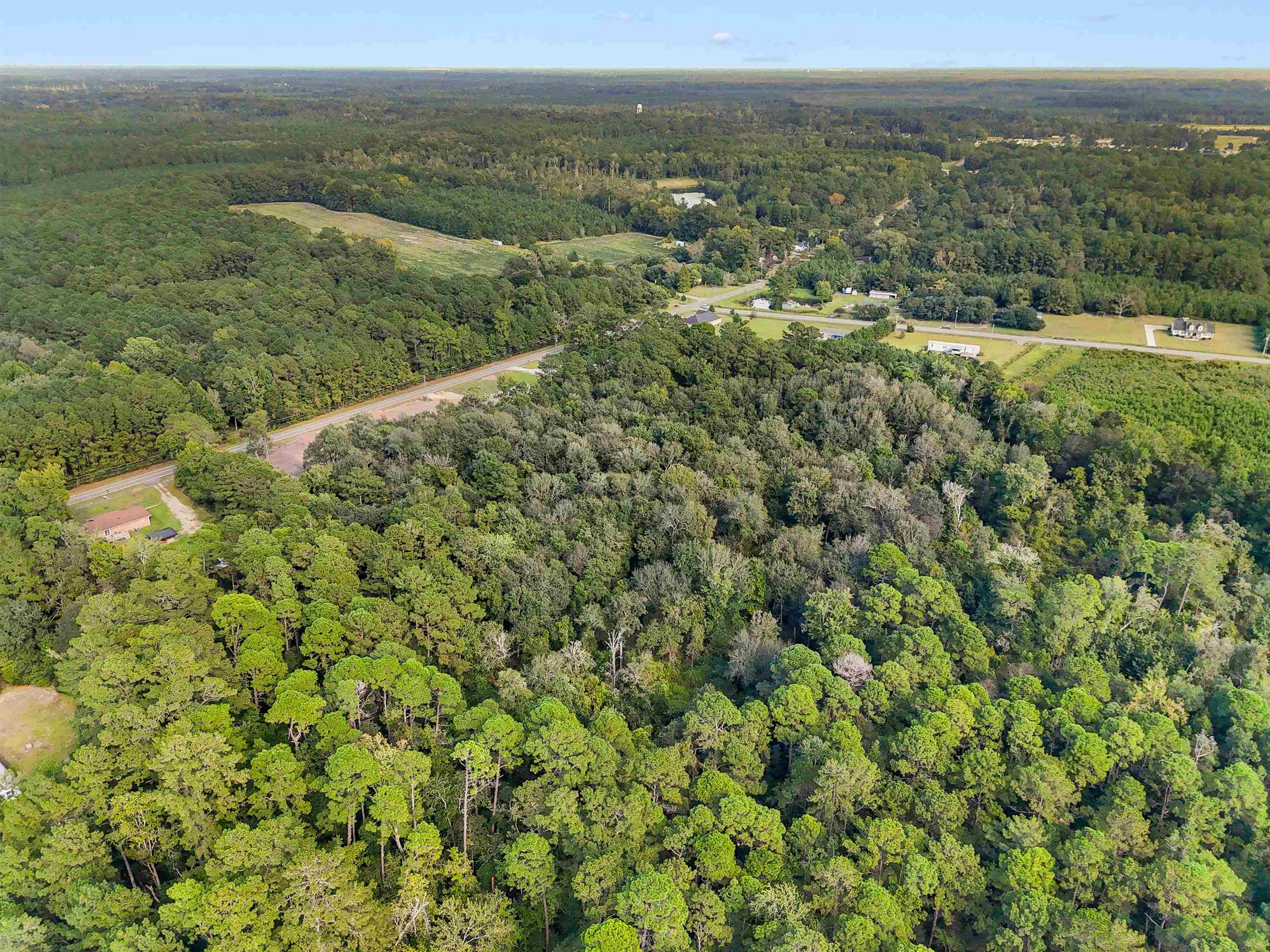 2647 Allen Dew Rd. Property Photo 3