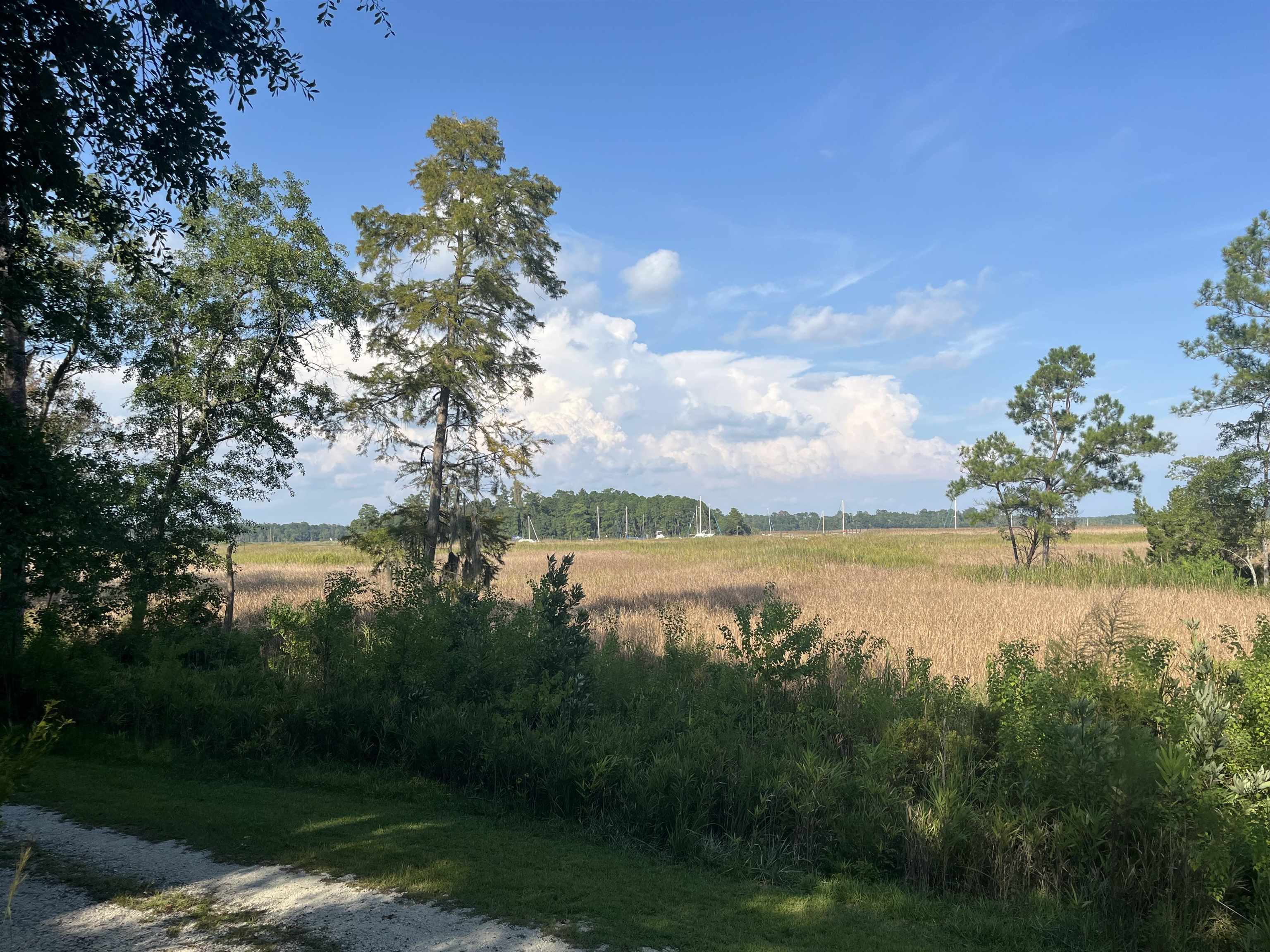 Tbd Warham Dr. Property Photo 2