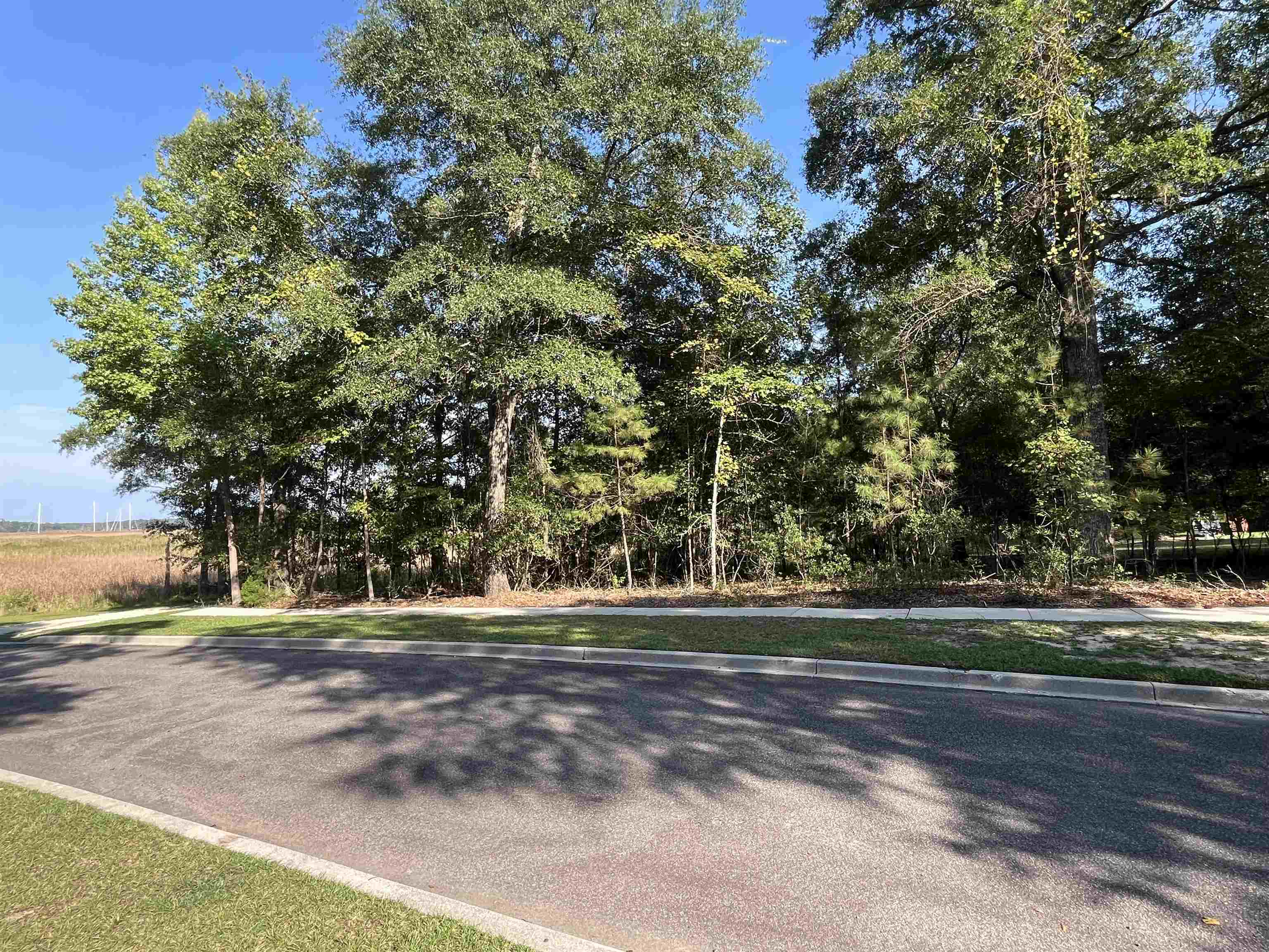 Tbd Warham Dr. Property Photo 8