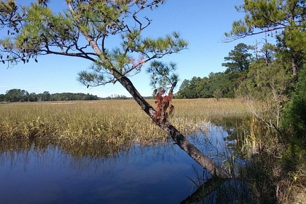 Tbd Warham Dr. Property Photo 33