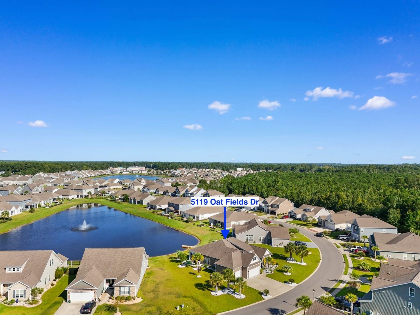 5119 Oat Fields Dr. Property Photo 41