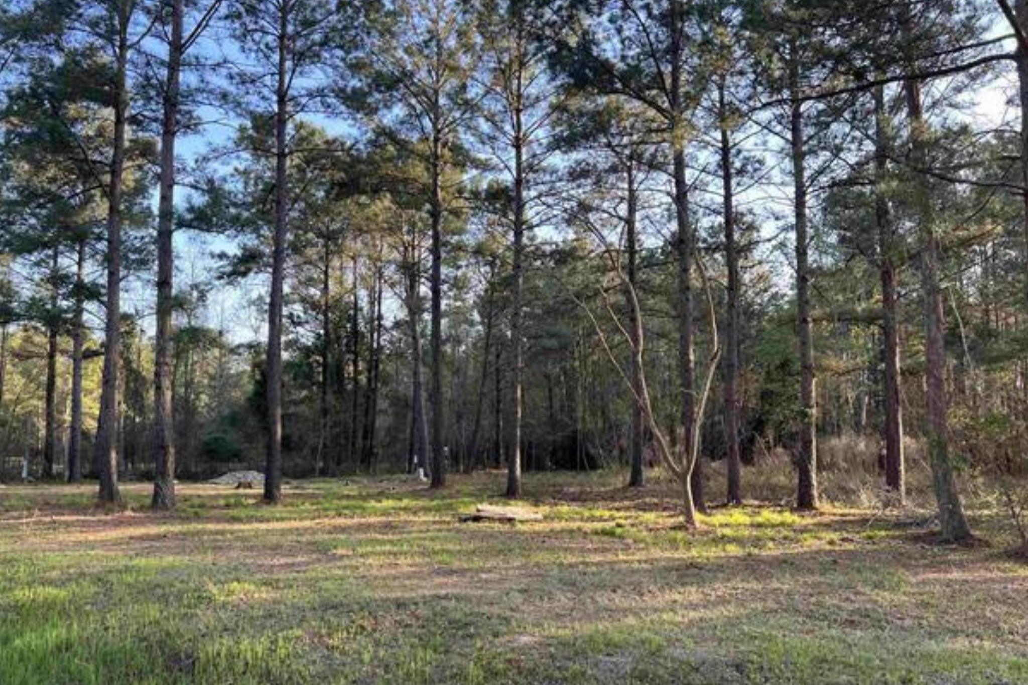 2108 Lees Landing Circle Property Photo 2