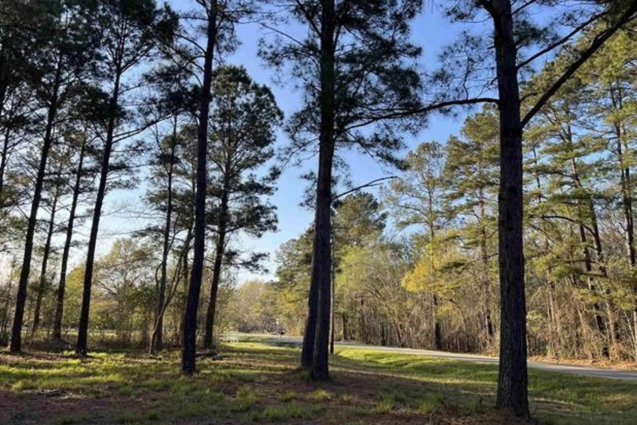 2108 Lees Landing Circle Property Photo 3