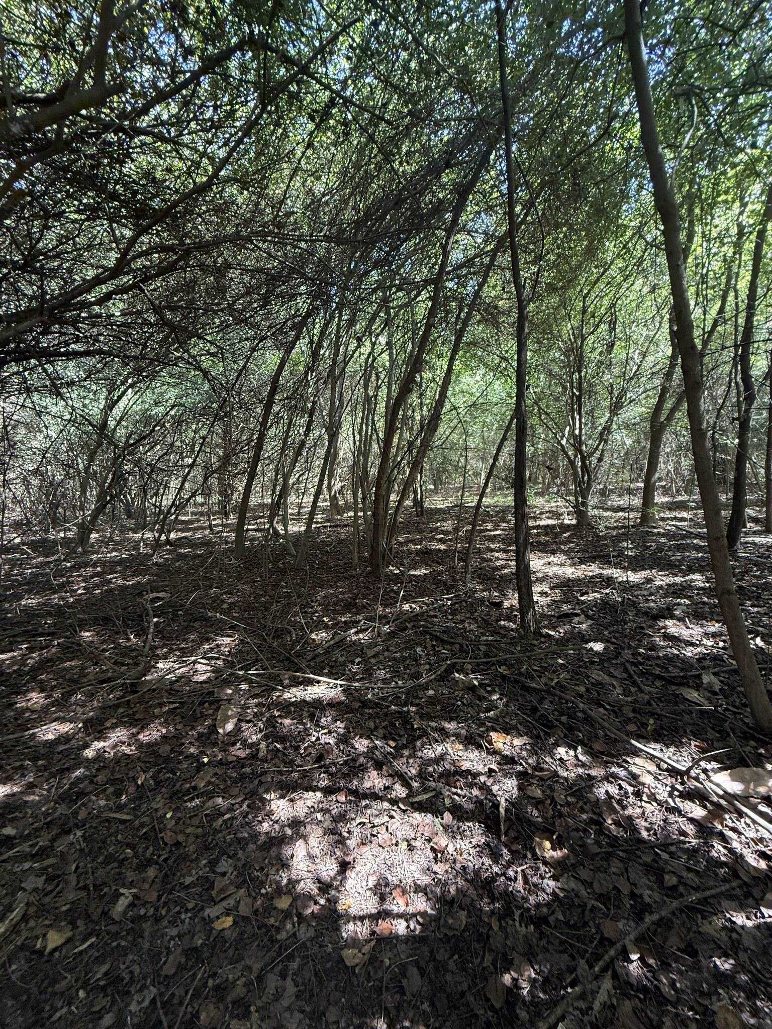 Tbd Black Branch Rd. Property Photo 4
