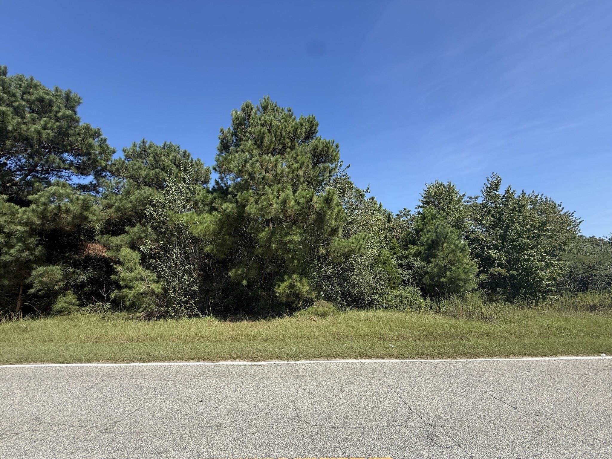 Tbd Black Branch Rd. Property Photo 3