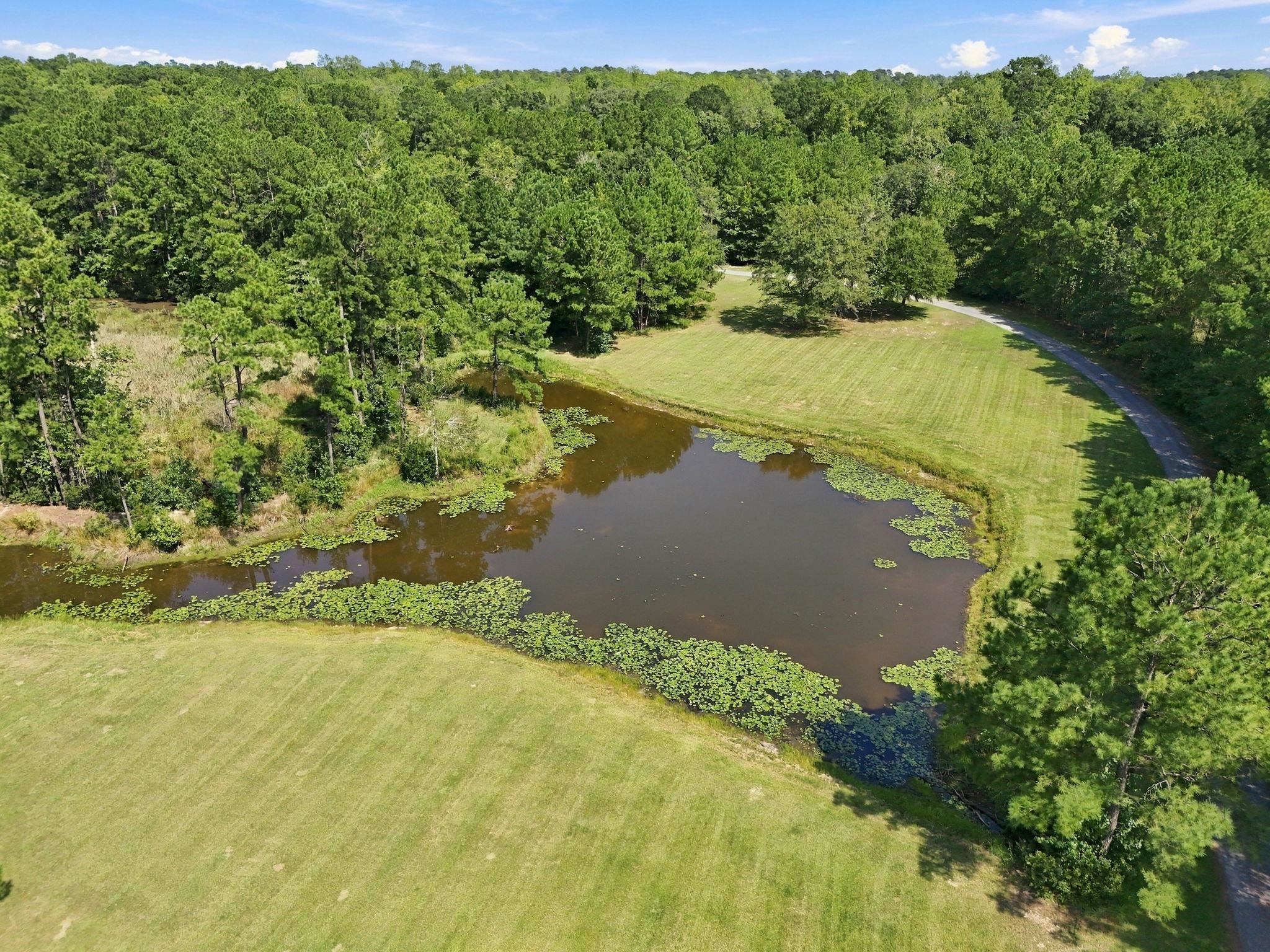 7223 Pee Dee Hwy. Property Photo 5