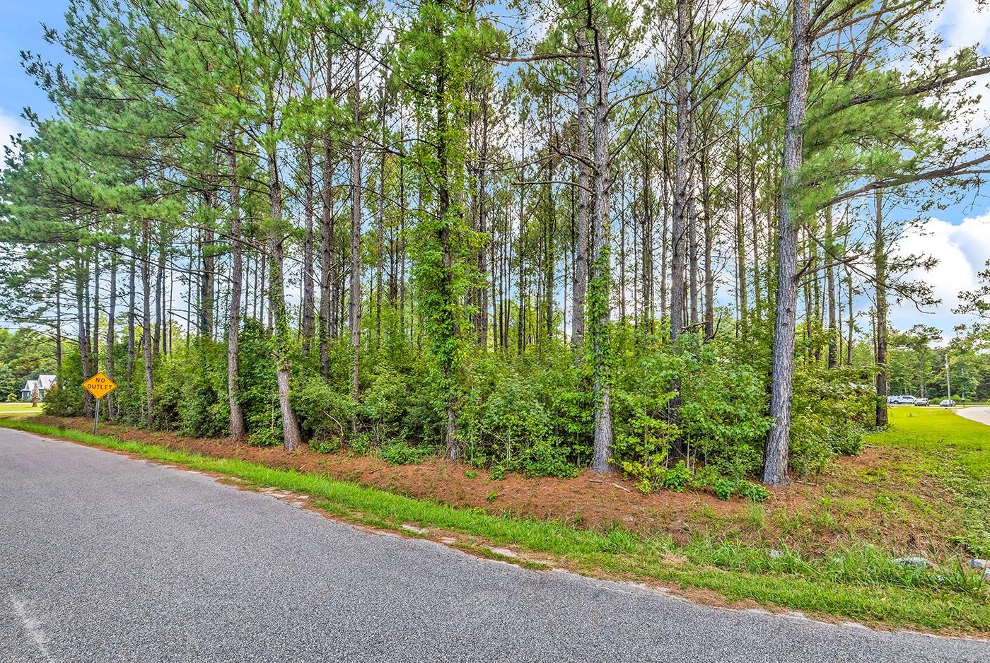 Tbd Platt Town Place Property Photo 11
