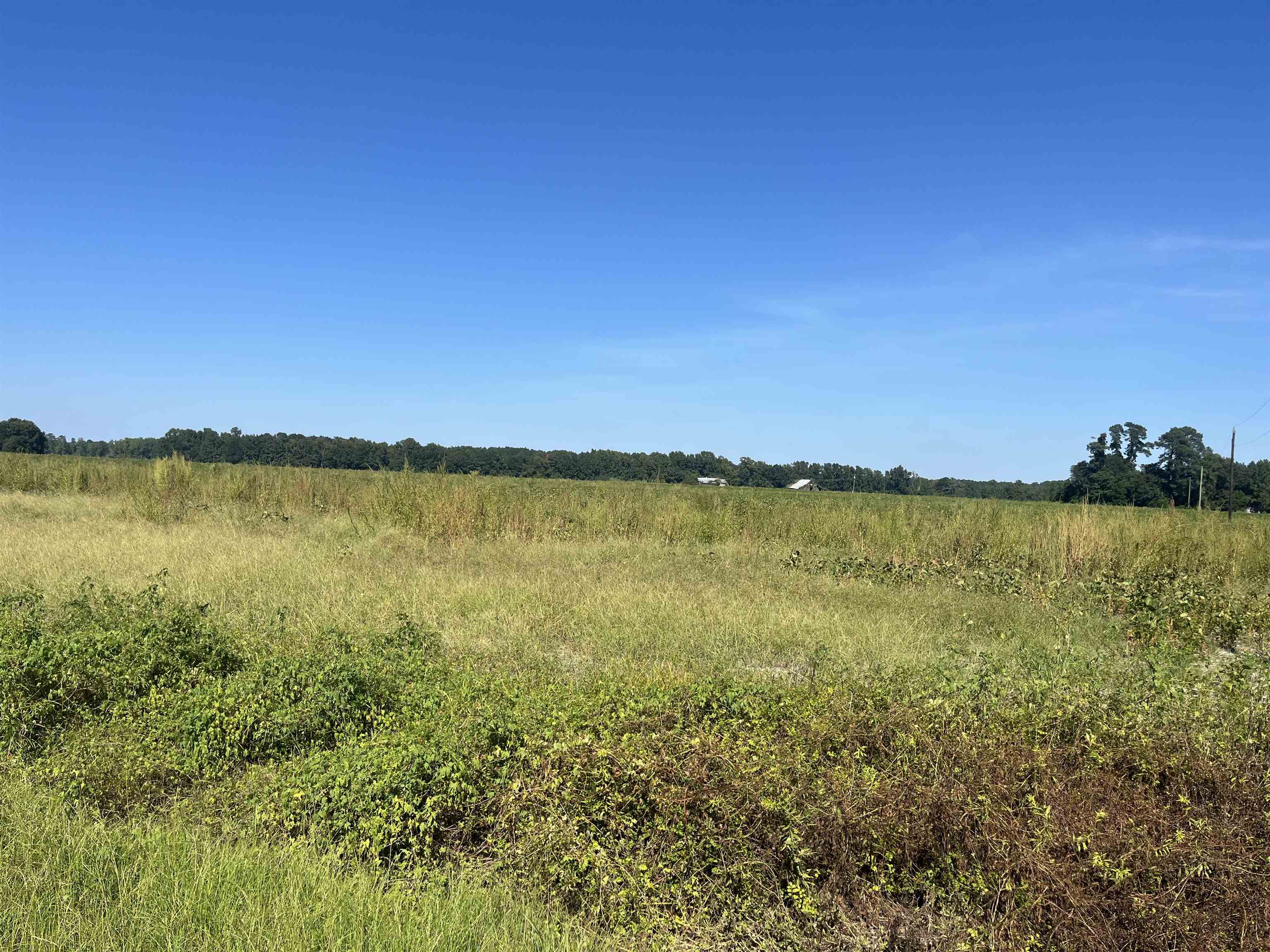 Highway 38 Property Photo 2