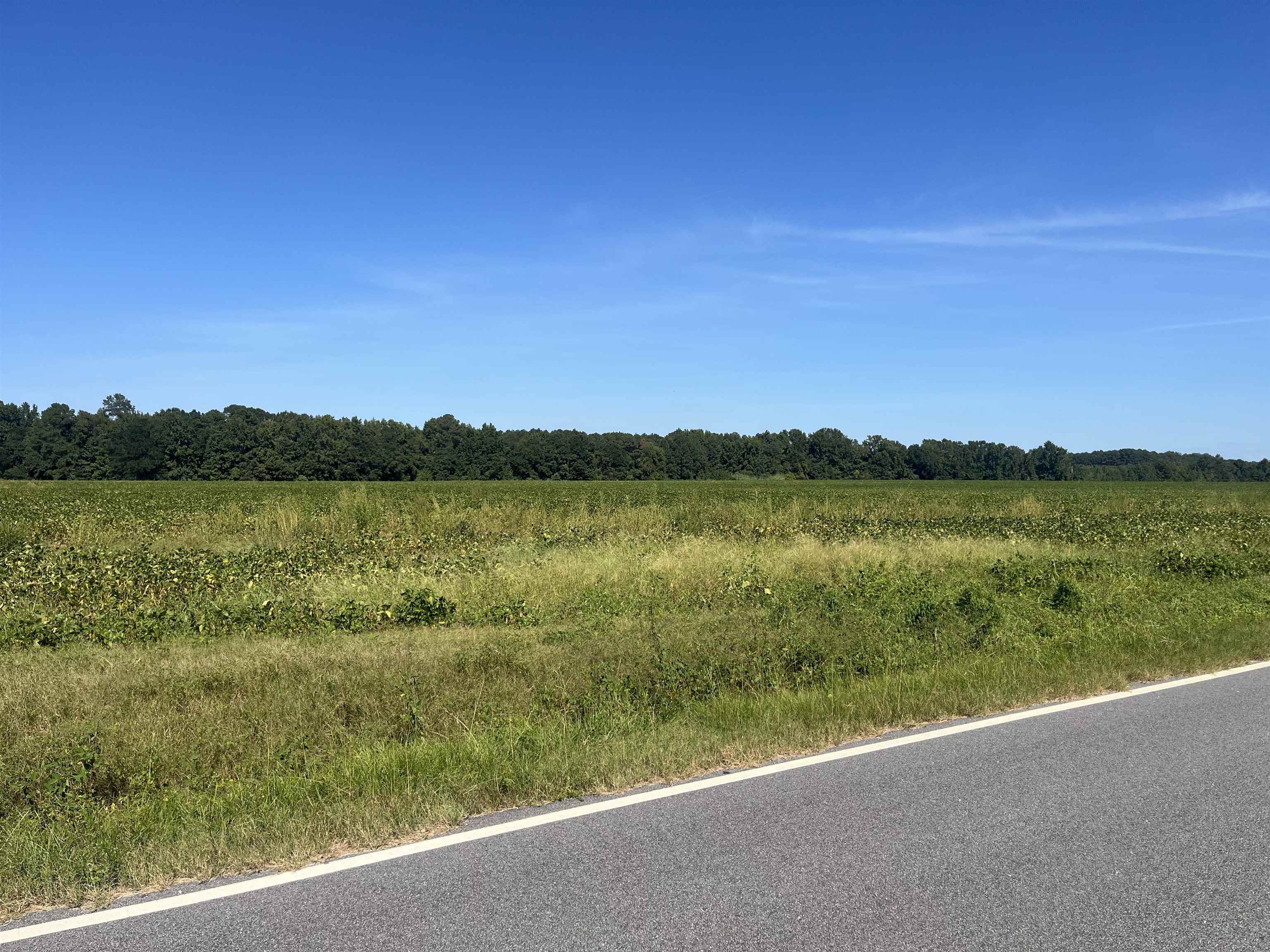 Highway 38 Property Photo 6
