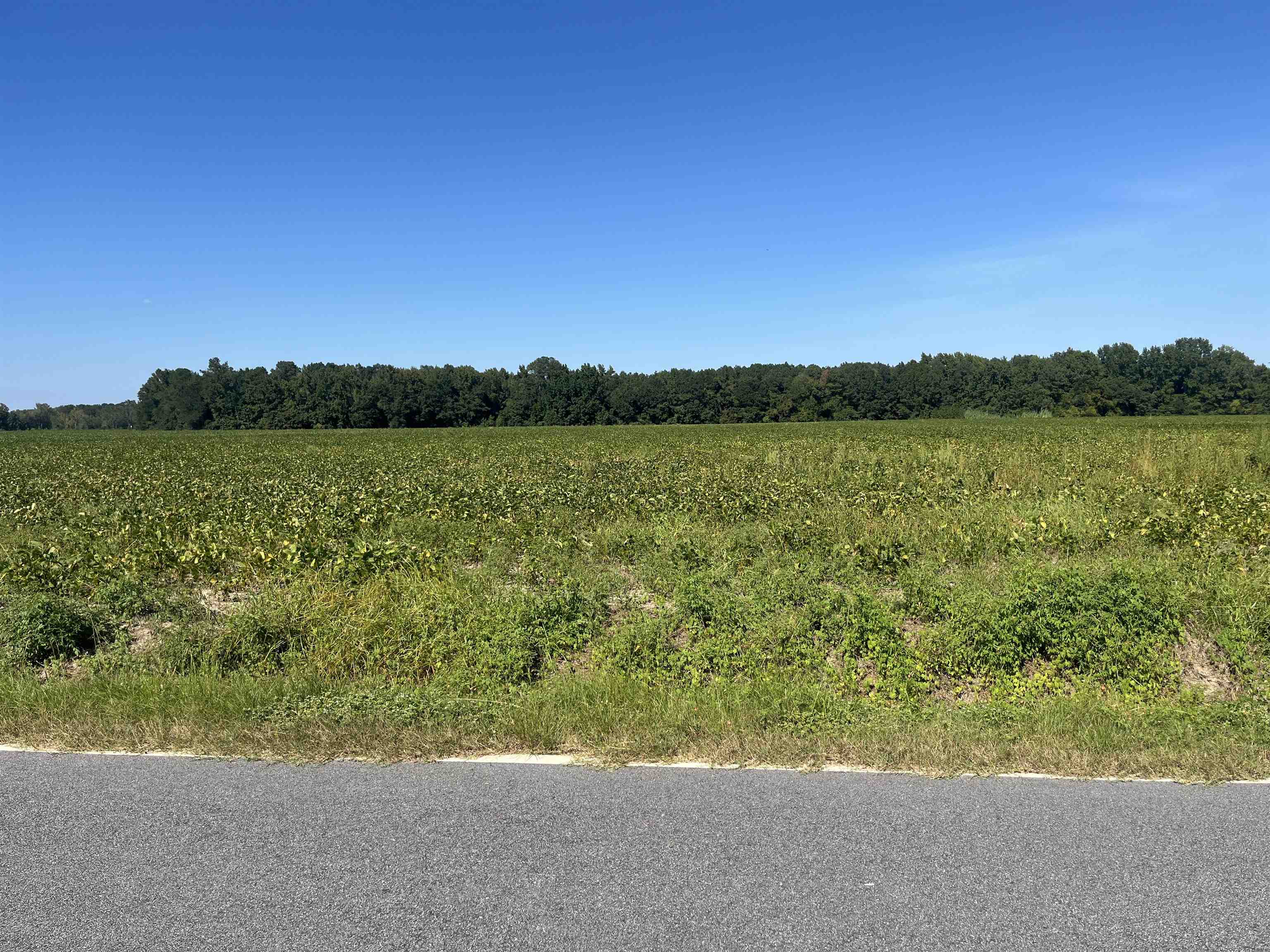 Highway 38 Property Photo 7