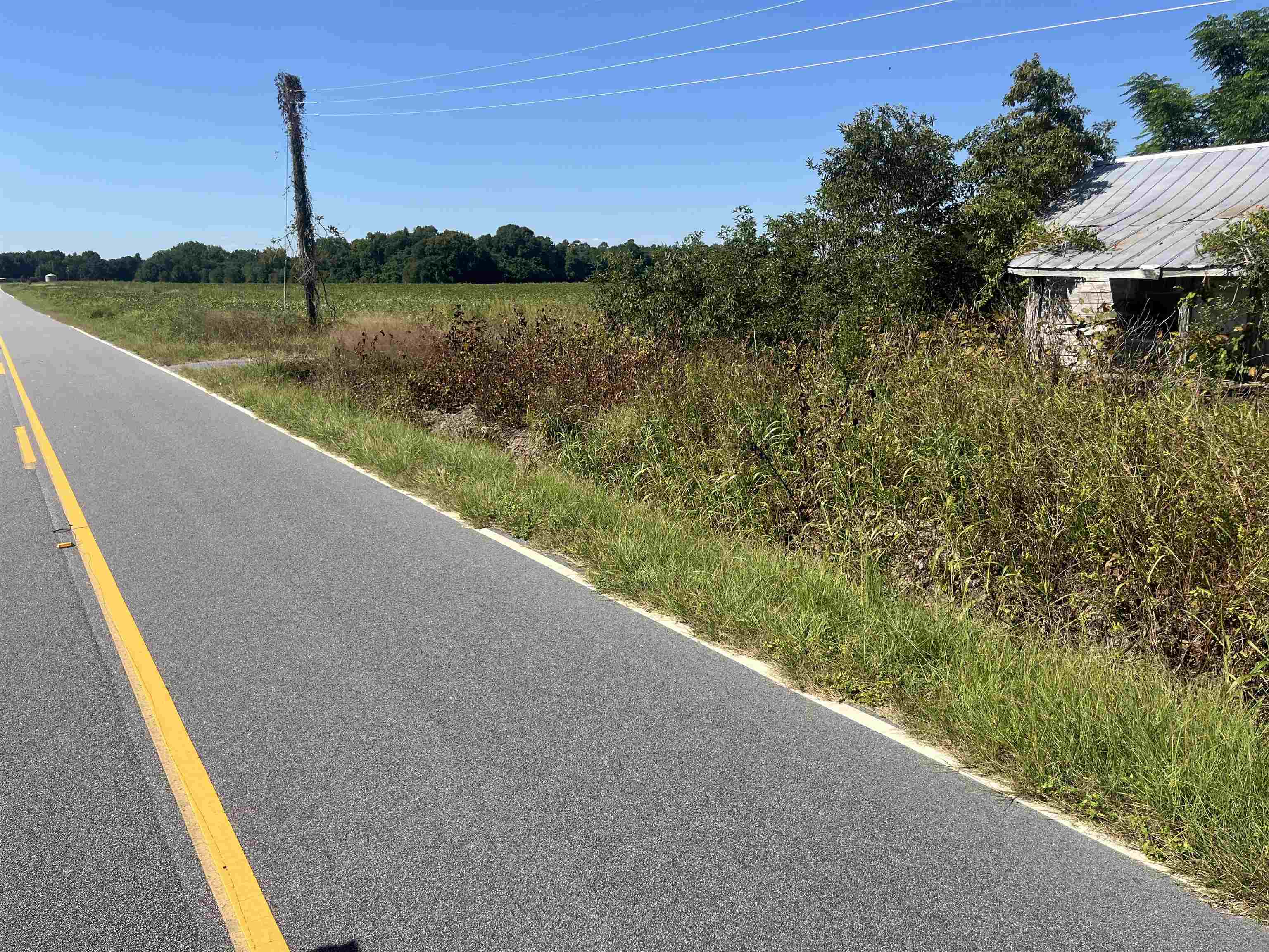 Highway 38 Property Photo 10