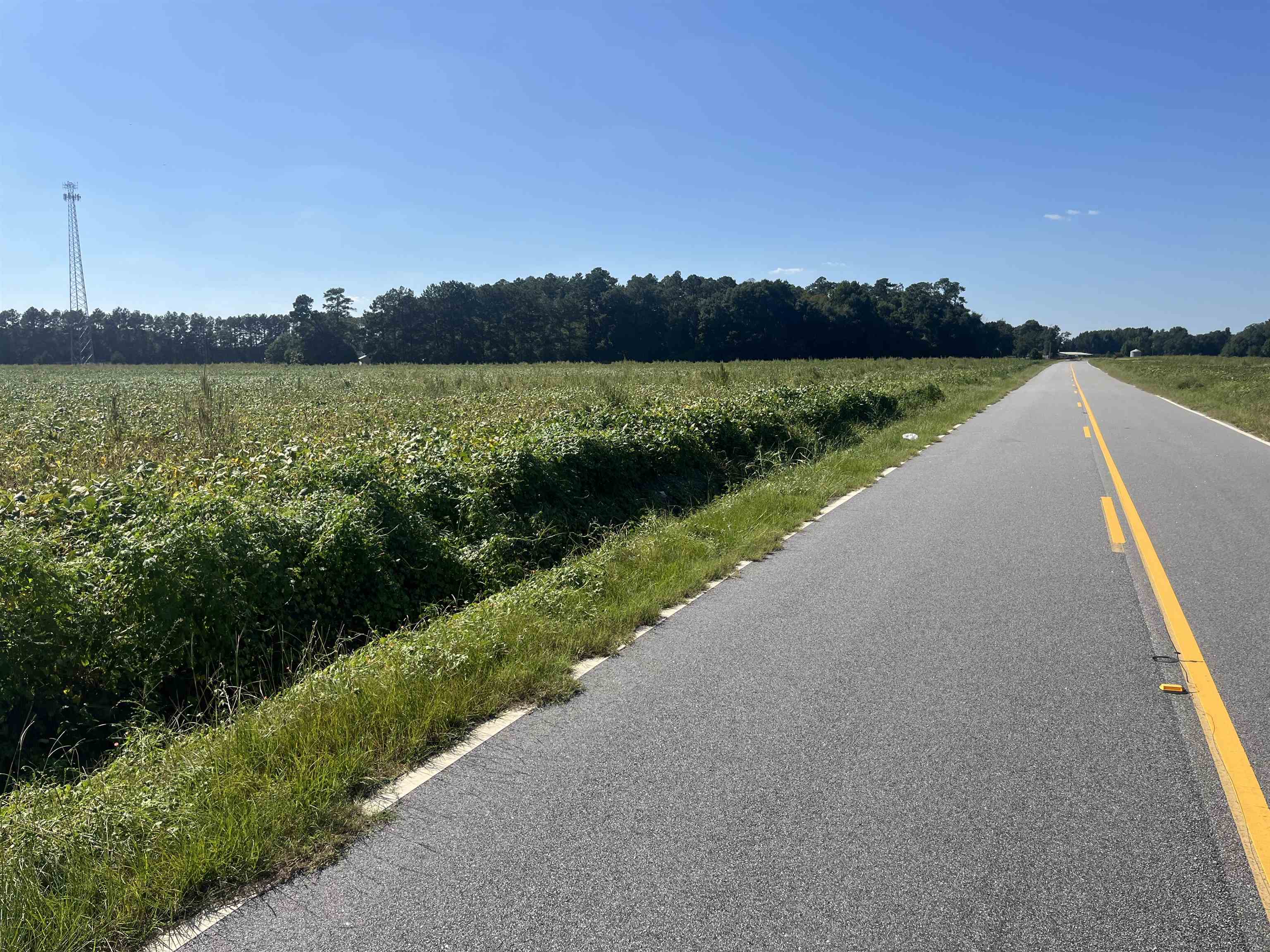 Highway 38 Property Photo 12