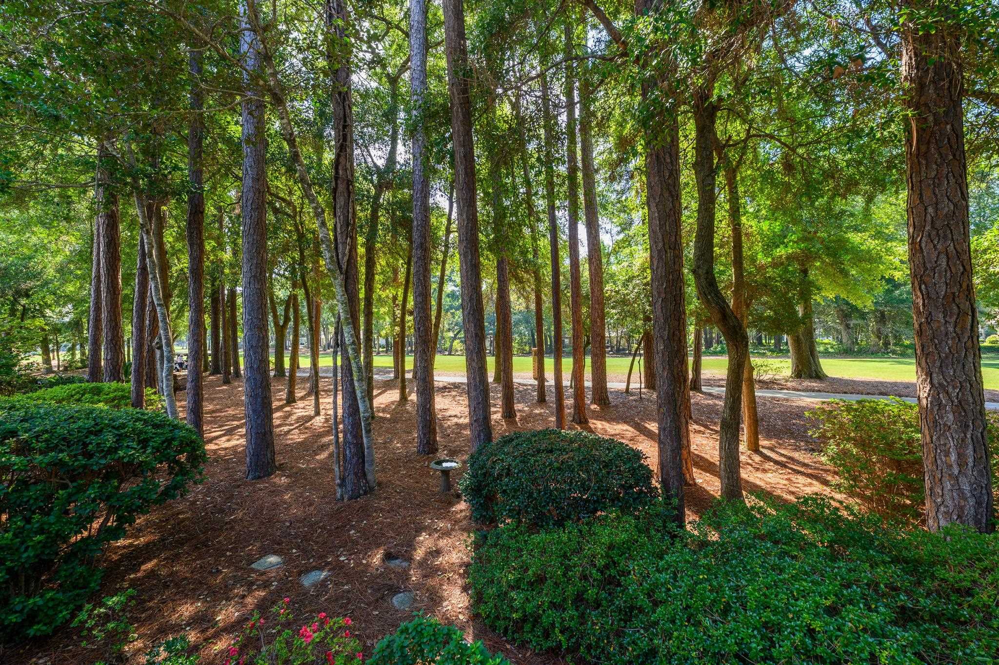 943 Heshbon Dr. Property Photo 40
