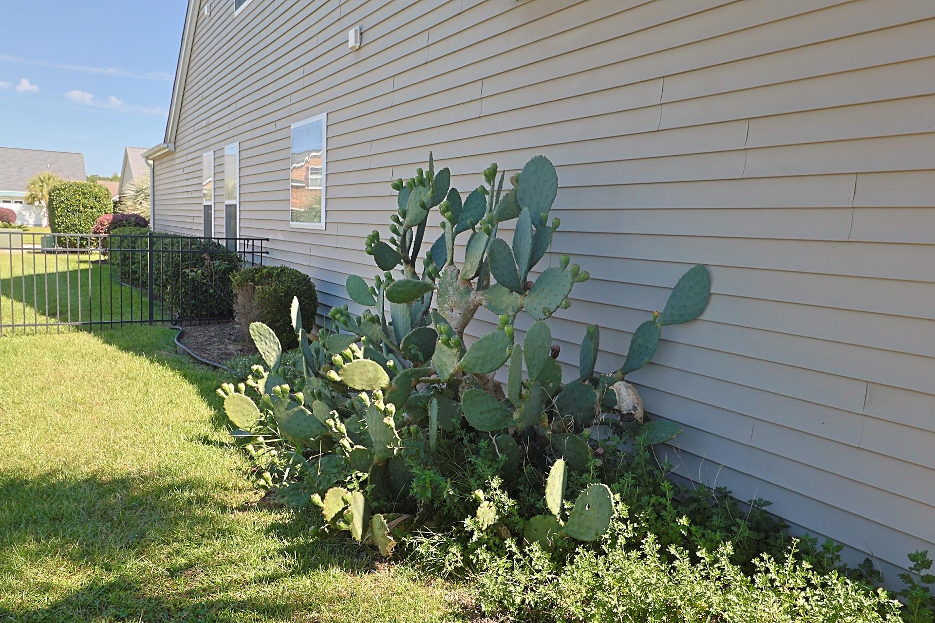 2925 Tigers Eye Rd. Property Photo 16