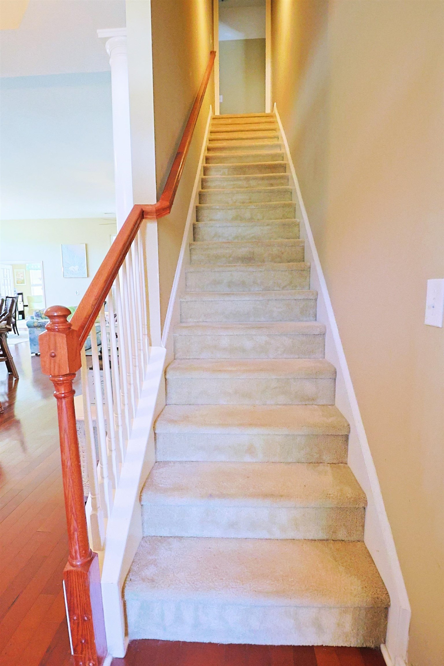 2925 Tigers Eye Rd. Property Photo 47