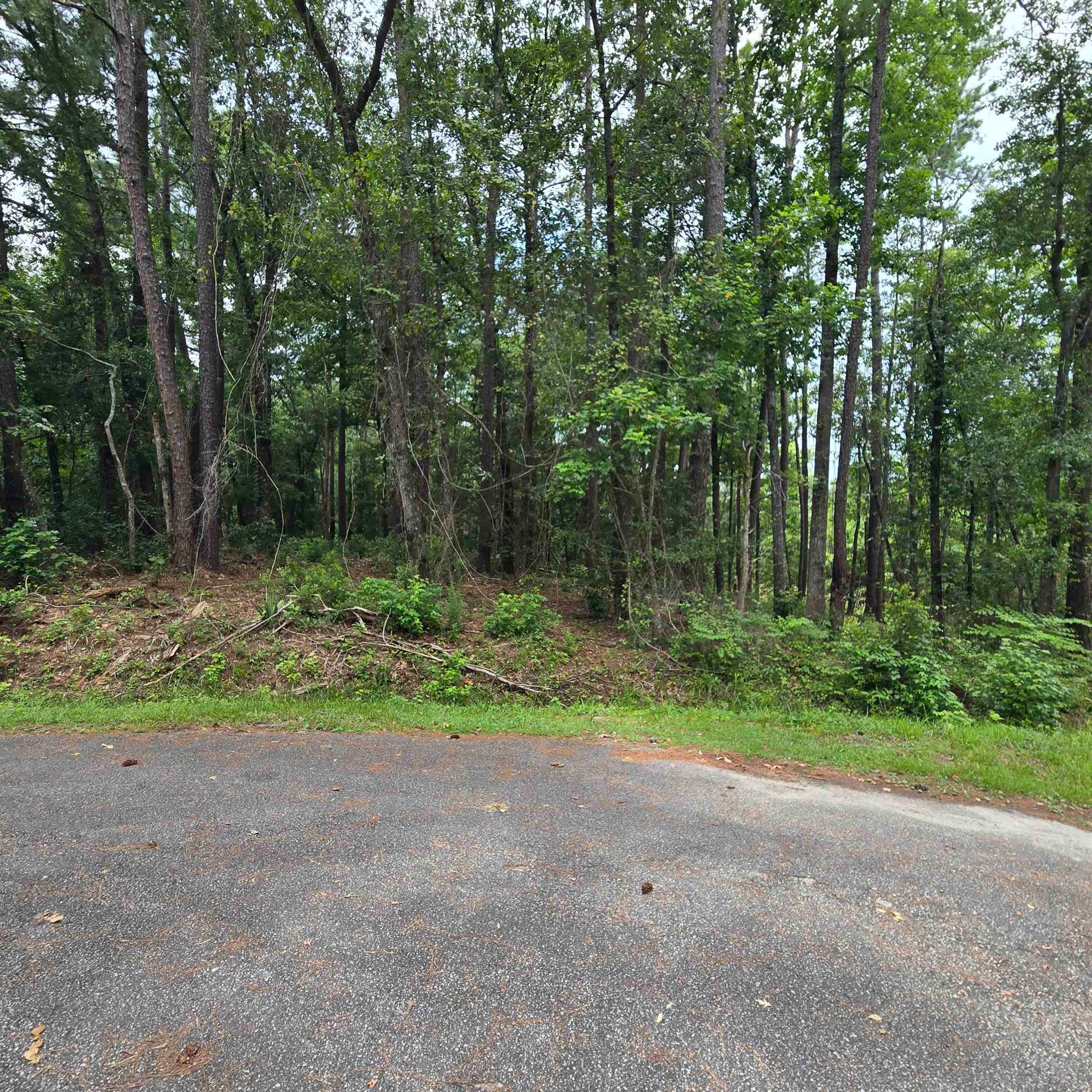 1051 Irene Ct. Property Photo 4