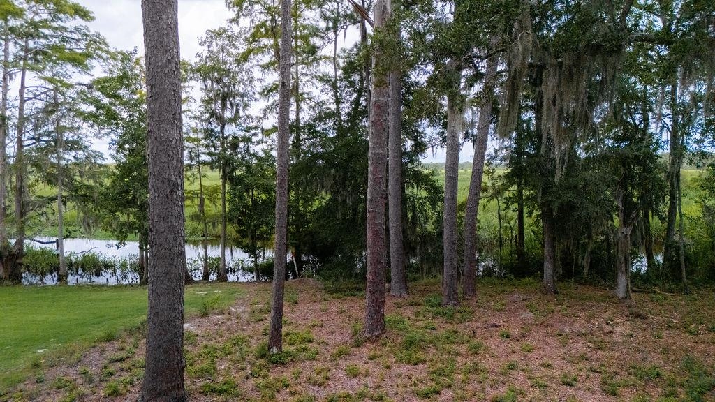 Cabaniss Ln. Property Photo 1