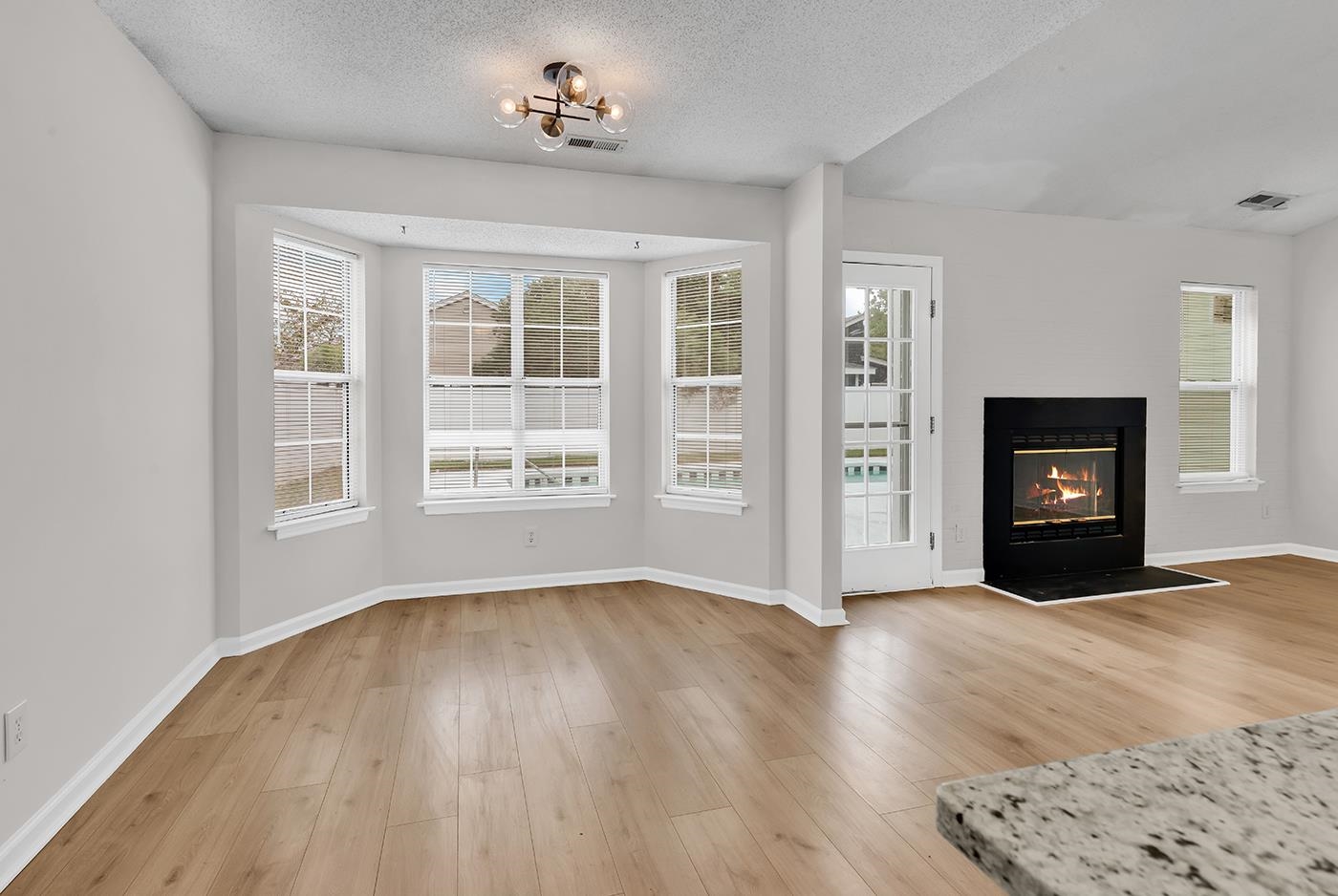 109 Coachman Ln. Property Photo 10